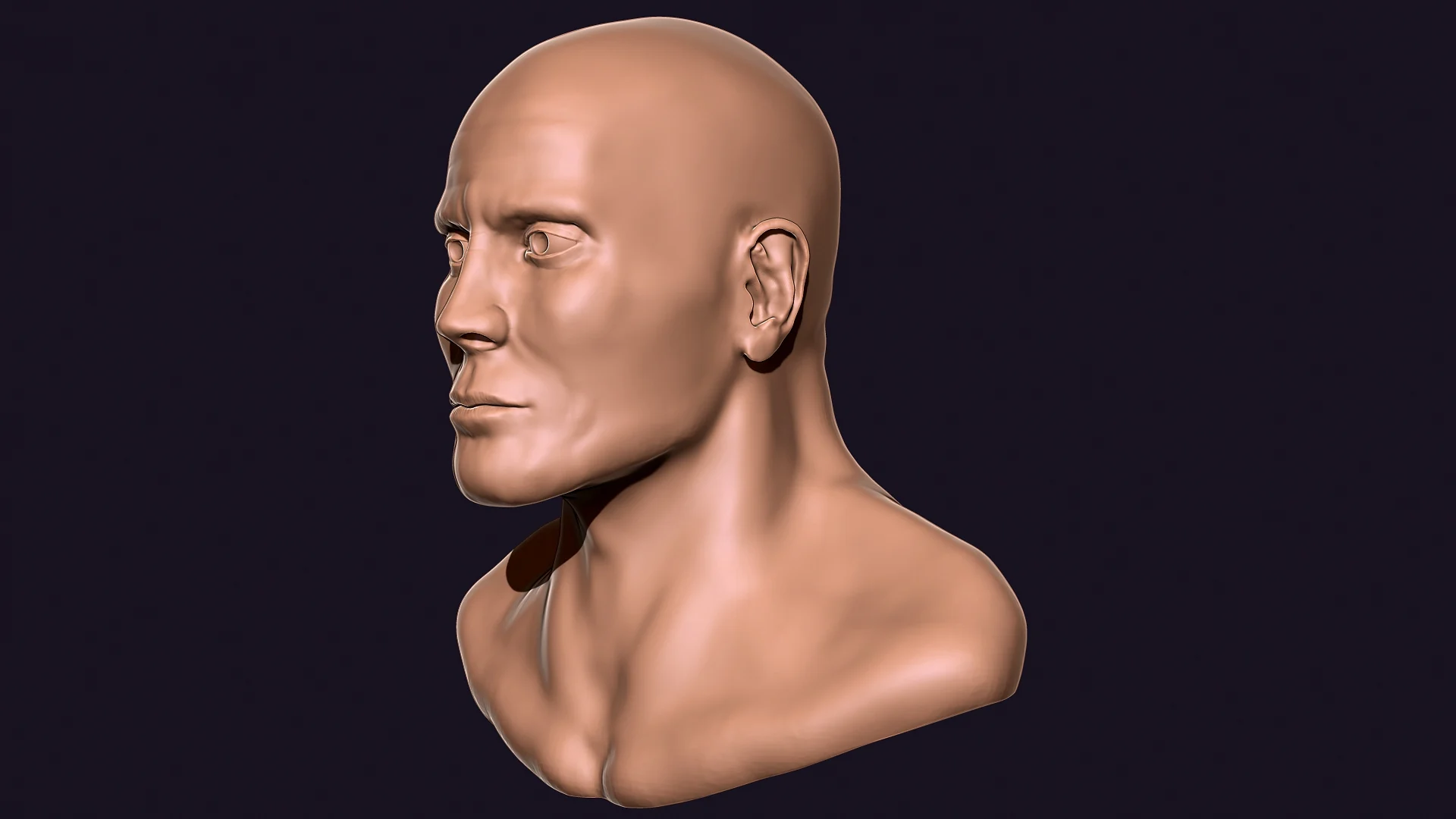 stylized sculpting zbrush