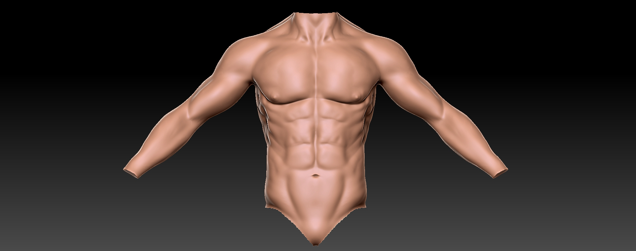 Male Upper Body Anatomy Looking For Feedback Polycount