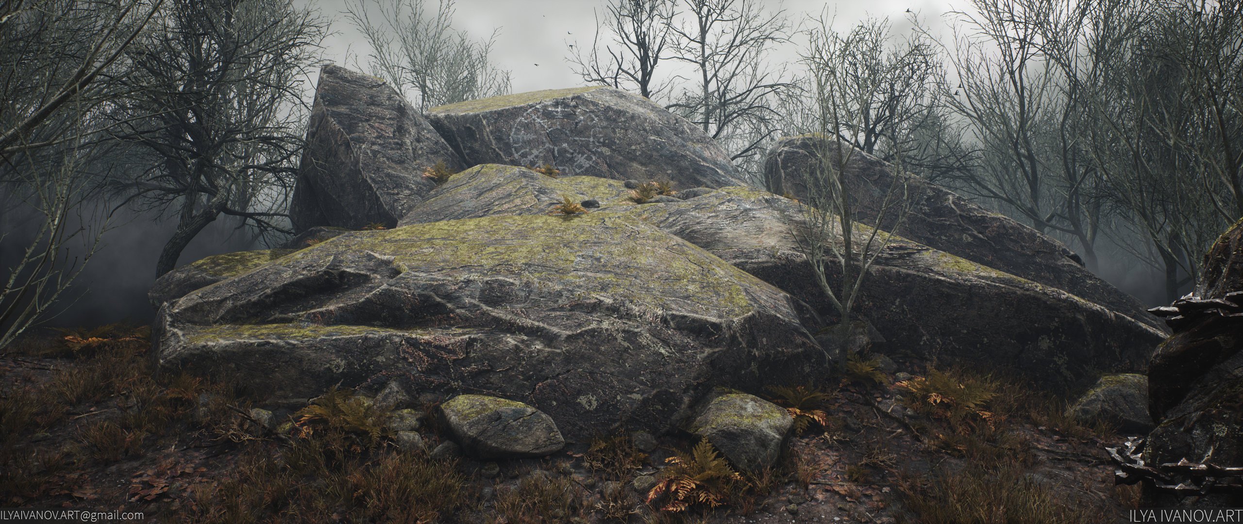 forest #way #rocks #rock #snail #tree #wierd #wild #art #gamedev