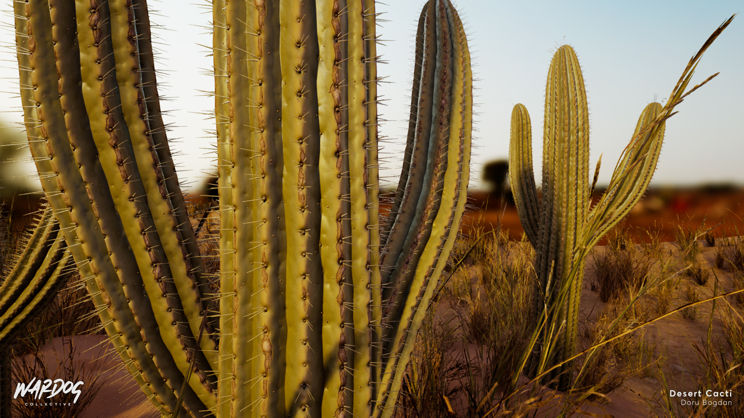 Cactus and Desert Materials — polycount