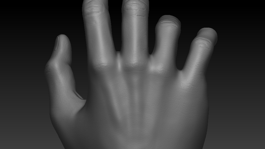 3dmotive hand anatomy in zbrush volume 教程