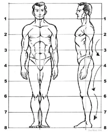 Body proportions sculpting and drawing reference.