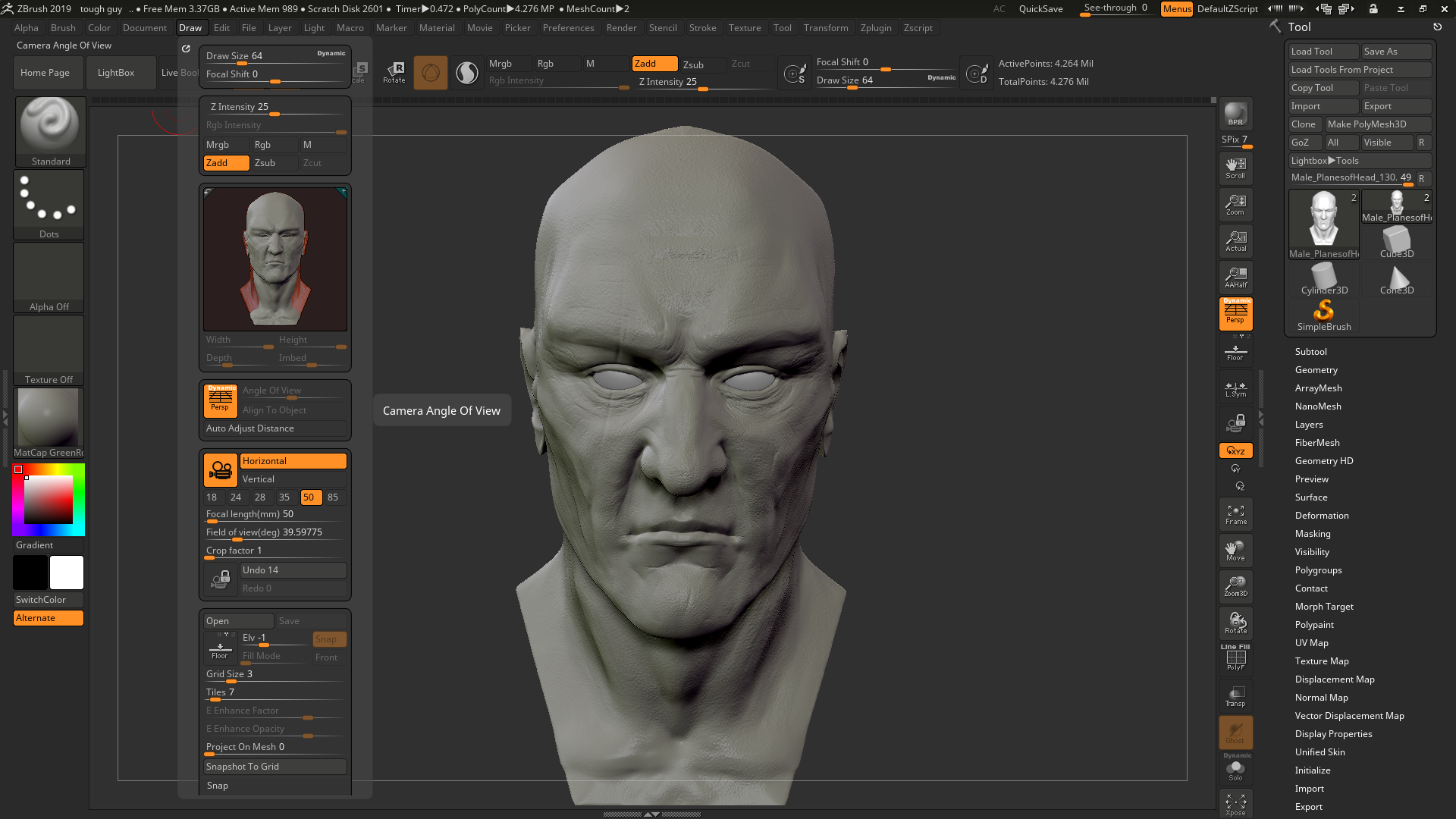 zbrush angle of view greyed out