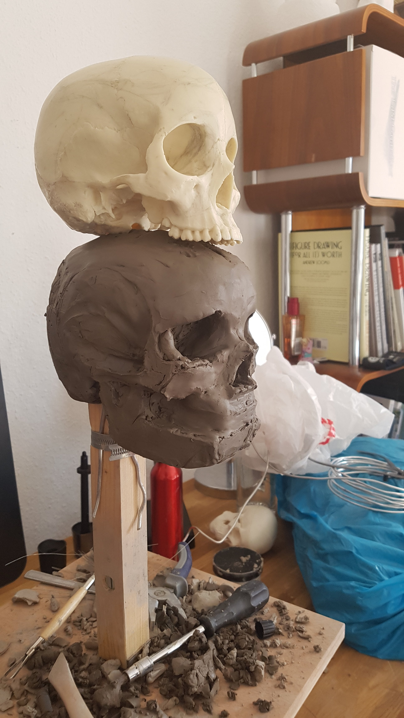 Skull 2024 clay sculpture