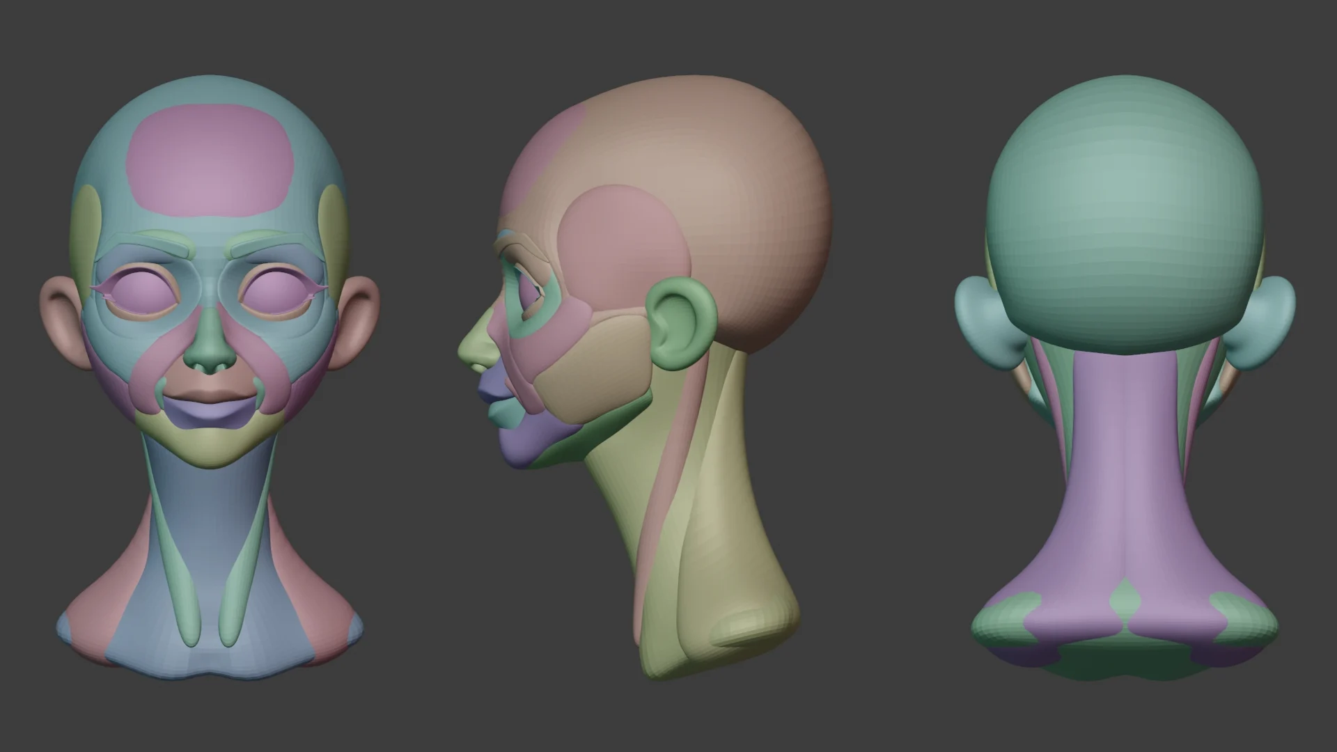 Stylized Head Anatomy Blockout — Polycount