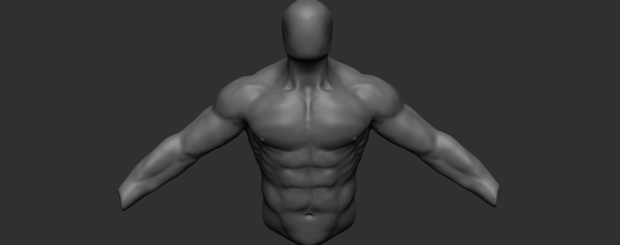 Male Torsoback Anatomy Critique Please — Polycount