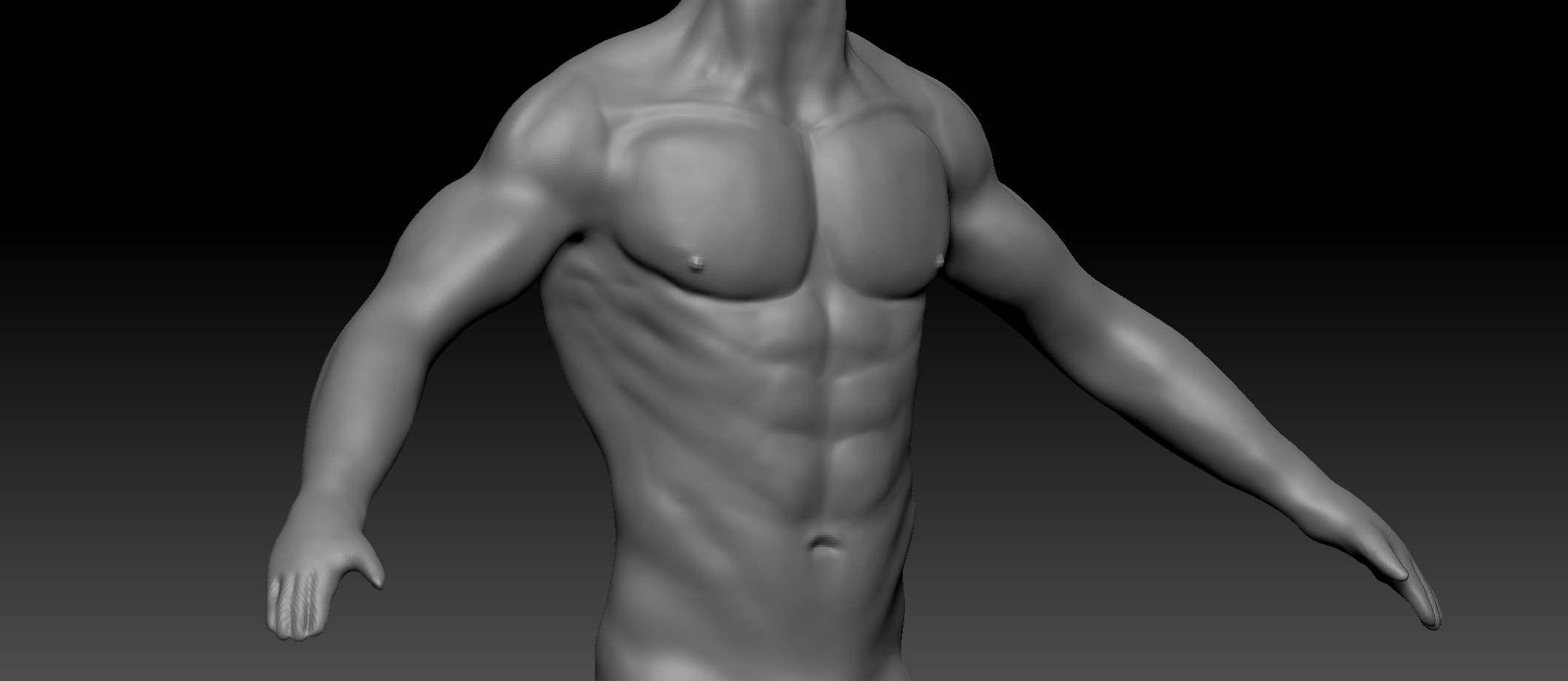 Male Torso Anatomy Polycount