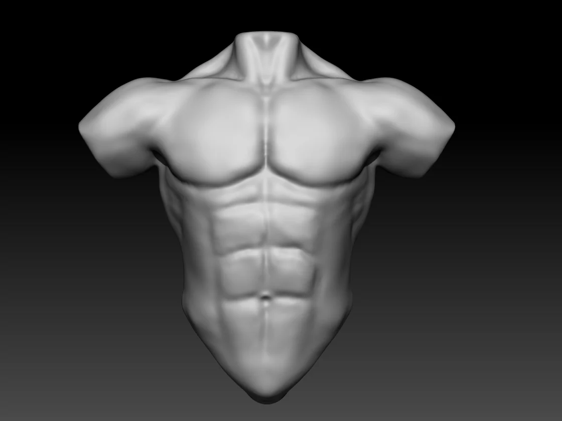 3d torso skin render zbrush