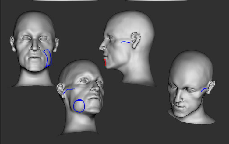 NEWBIE doing Daily Head Sculpts for 30 days. — polycount