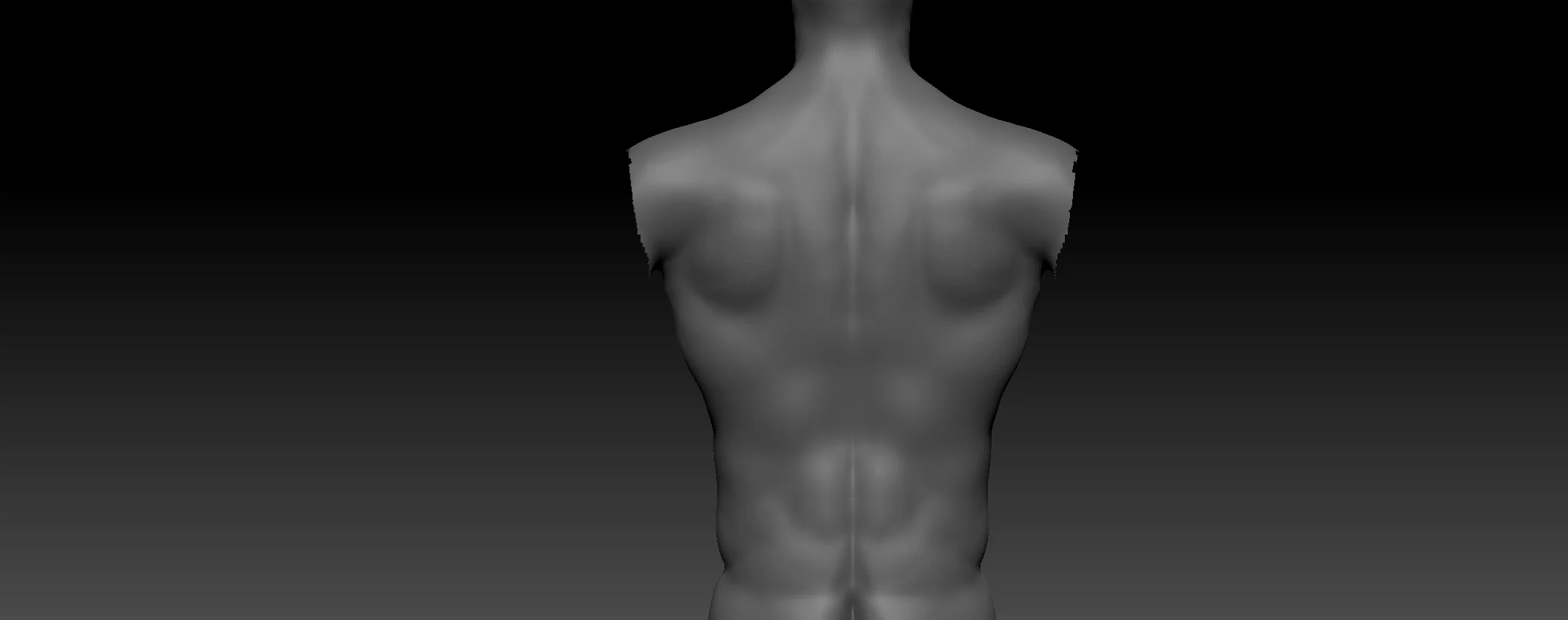 Male Torso Back Anatomy Critique Please Polycount