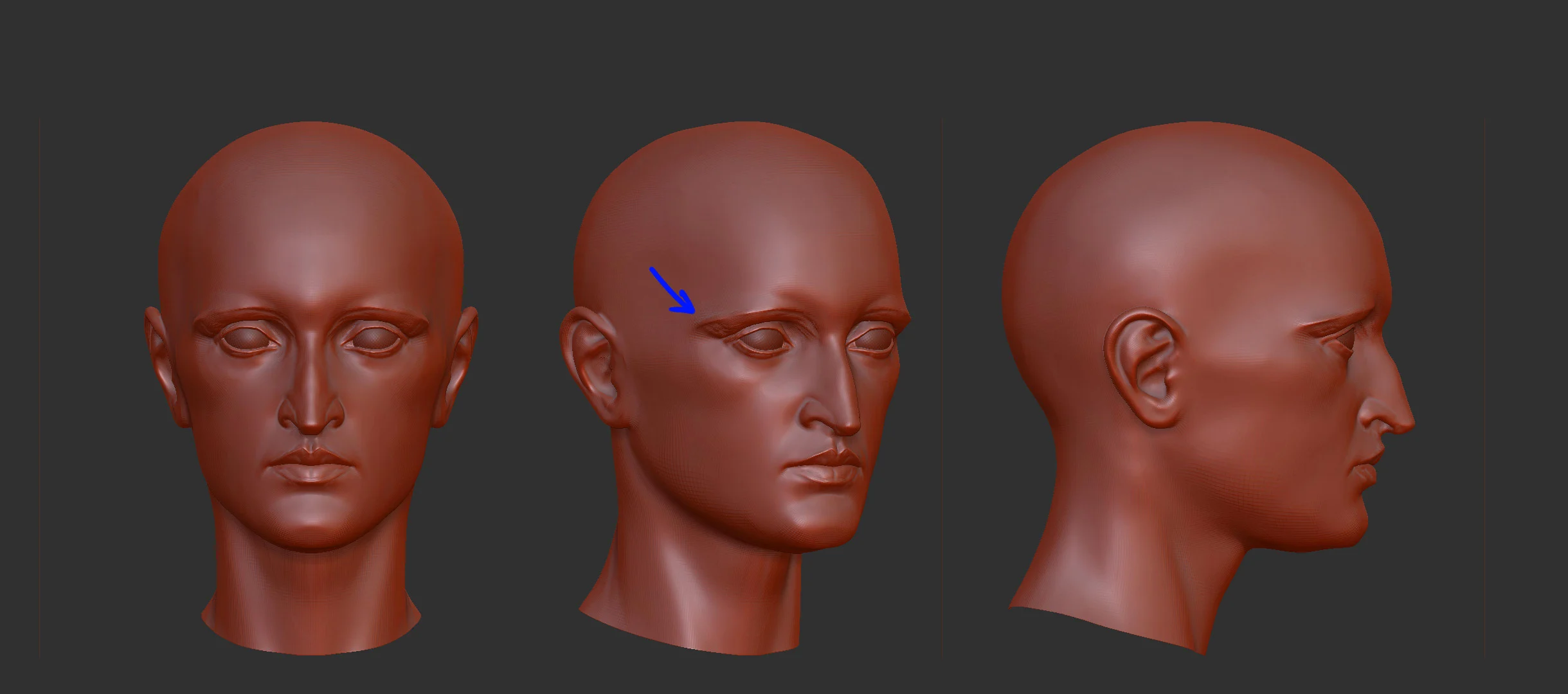 Head Sculpt - Feedback/critique - Zbrush — polycount