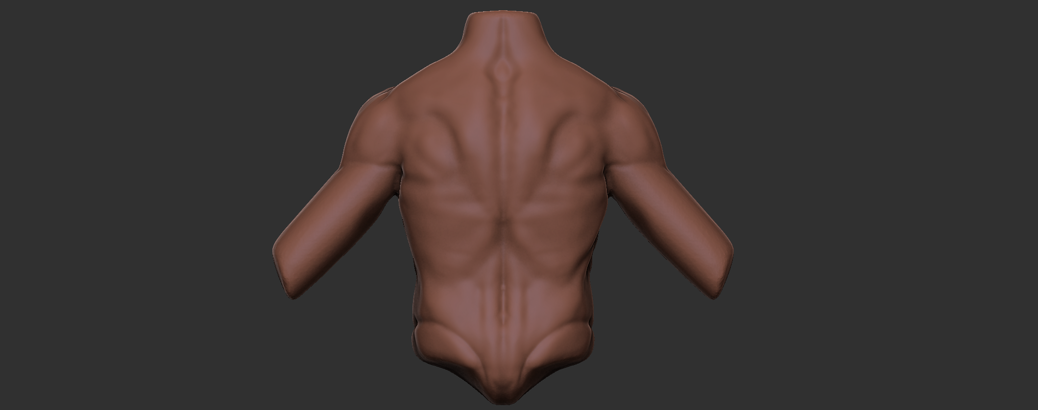 Male torso/back anatomy - critique please — polycount