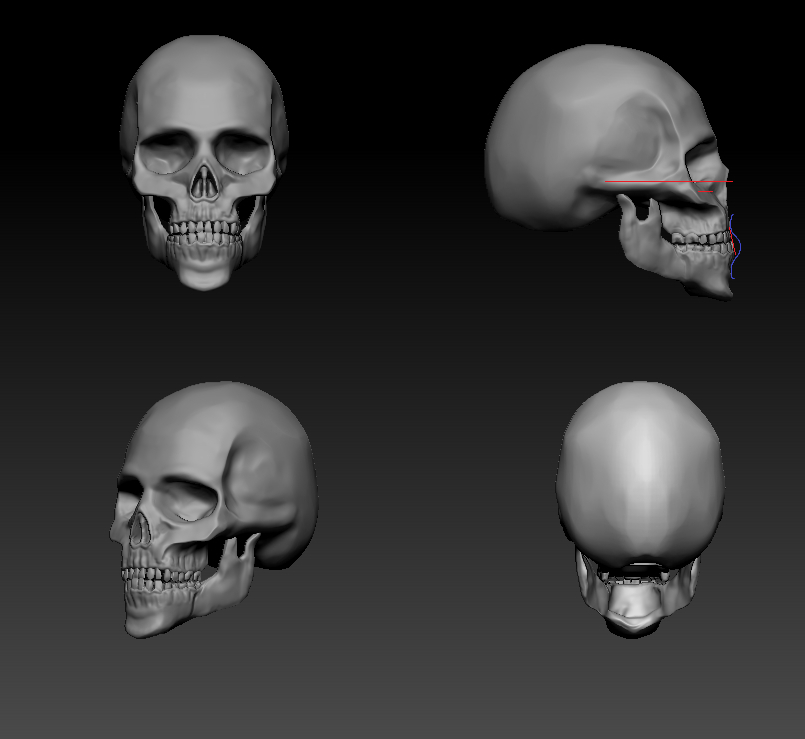 Zbrush skull Critique — polycount