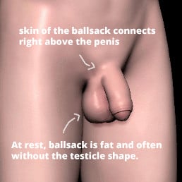 Image: https://us.v-cdn.net/5021068/uploads/editor/yw/jsjmzsax8wh6.jpg