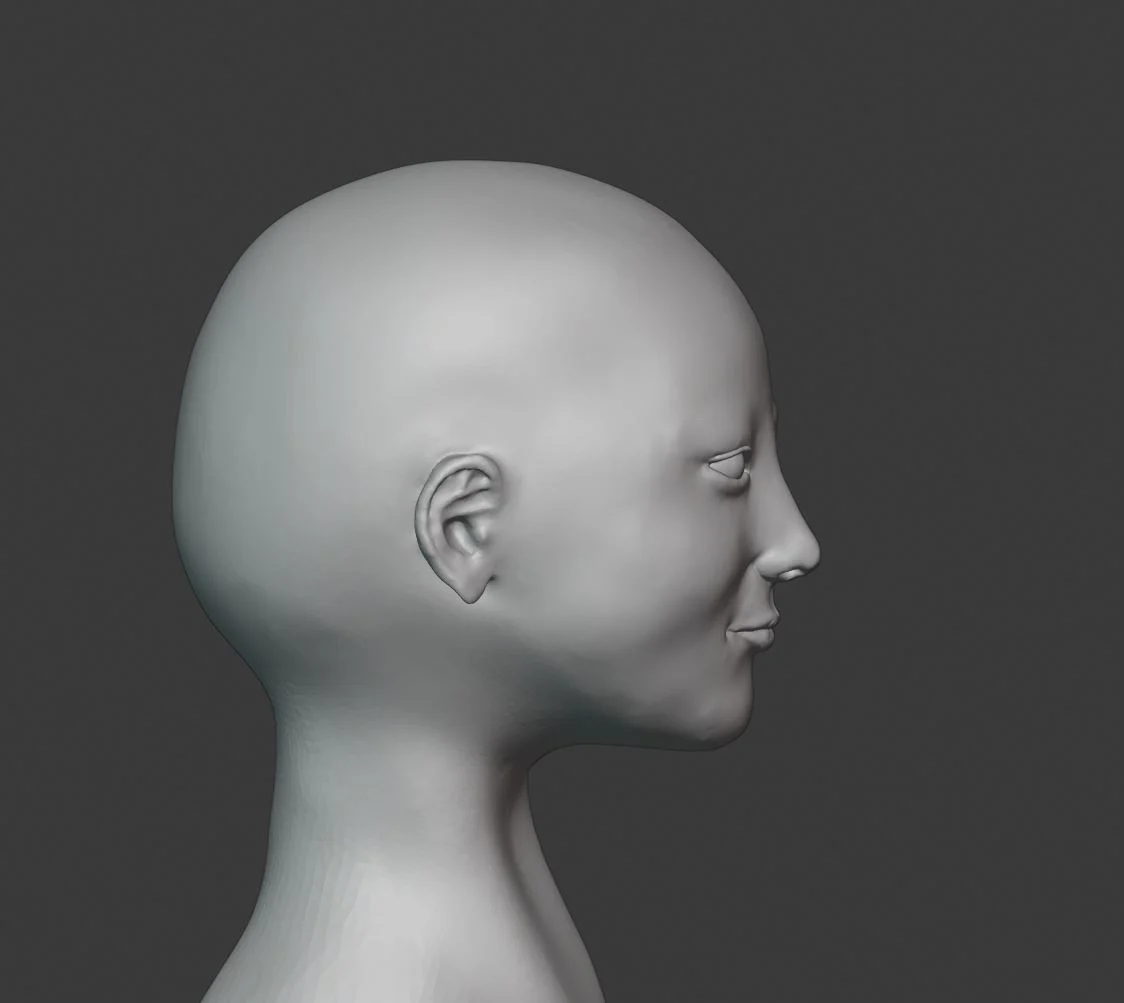 Female Head Sculpt - Download Free 3D model by Aconear (@Aconear) [ae24c33]