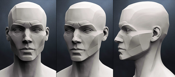 NEWBIE doing Daily Head Sculpts for 30 days. - Page 2 — polycount