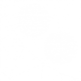 3DMattt