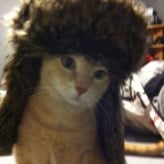 adddistress
