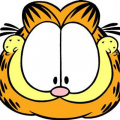 bradleyeb33