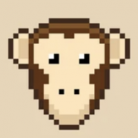 chimpanzeecasablanca