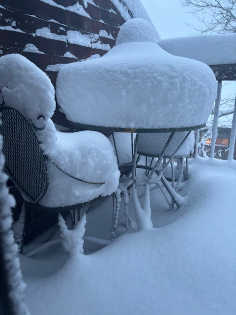 Image: https://us.v-cdn.net/5021252/uploads/editor/0a/qi5ftsg3crns.jpg