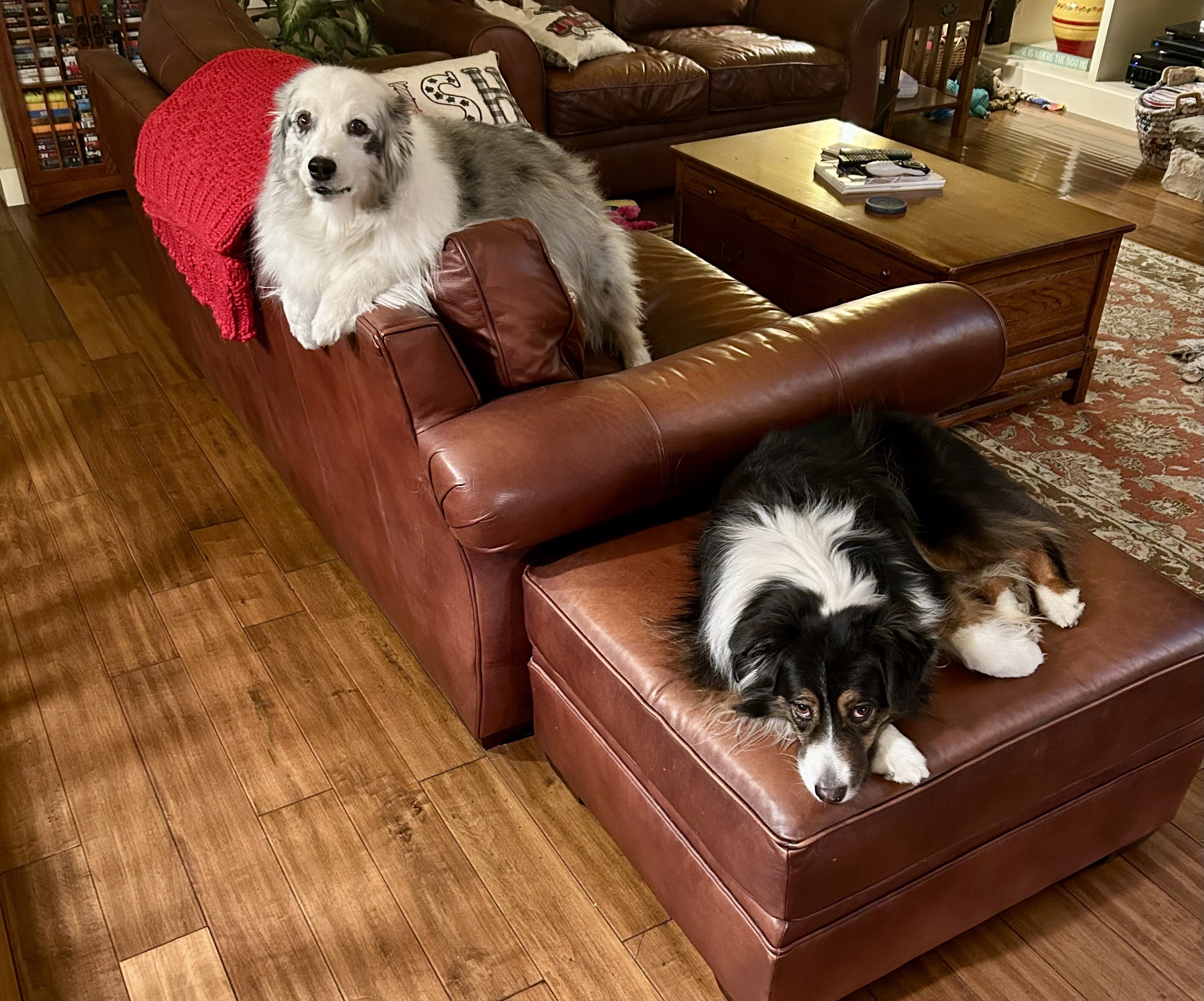 Image: https://us.v-cdn.net/5021252/uploads/editor/2z/cl63e6r1ac74.jpeg