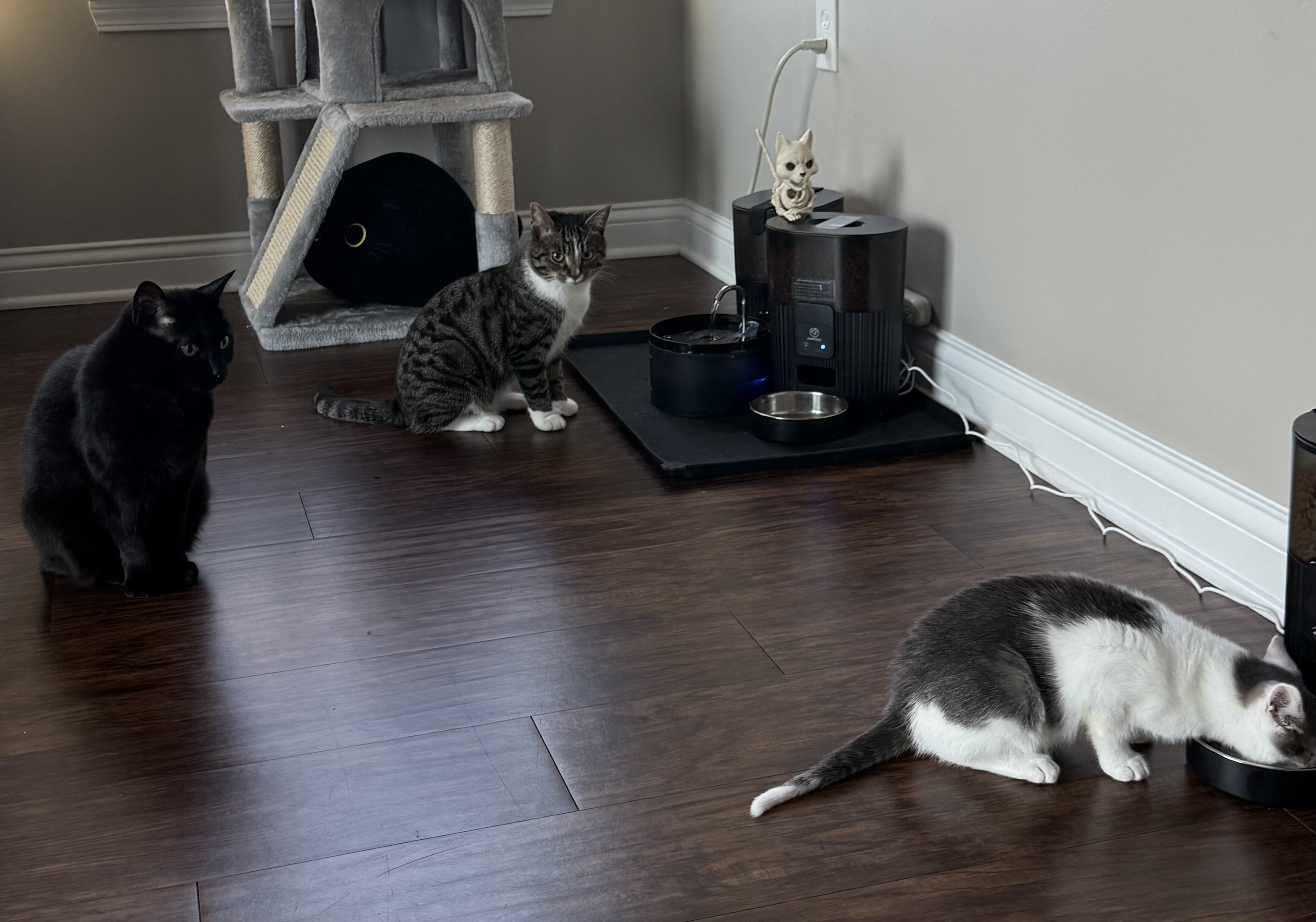 Image: https://us.v-cdn.net/5021252/uploads/editor/4v/50nsu6tzy6mc.jpg