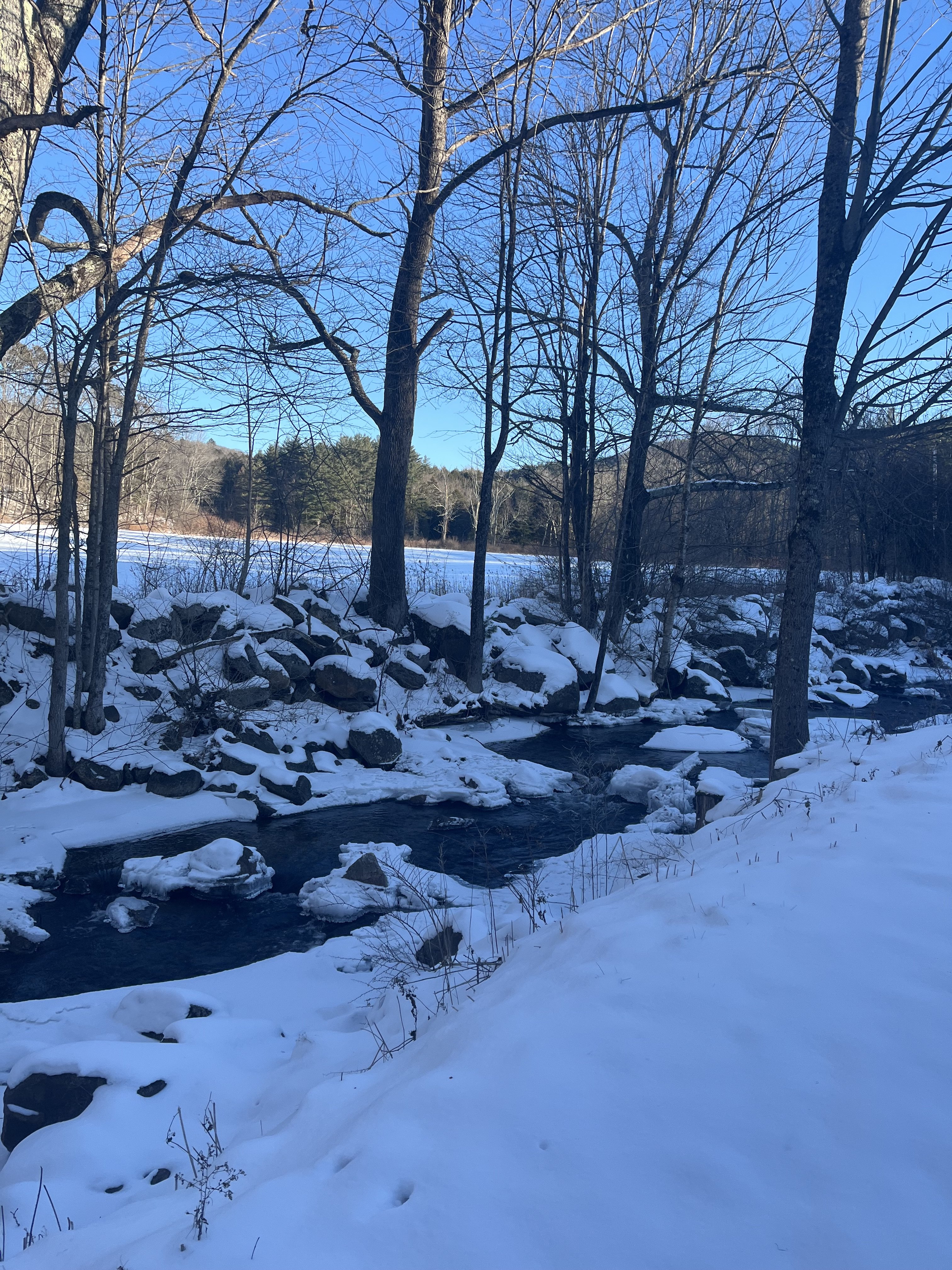 Image: https://us.v-cdn.net/5021252/uploads/editor/7m/h5ssx7jt5cny.jpeg