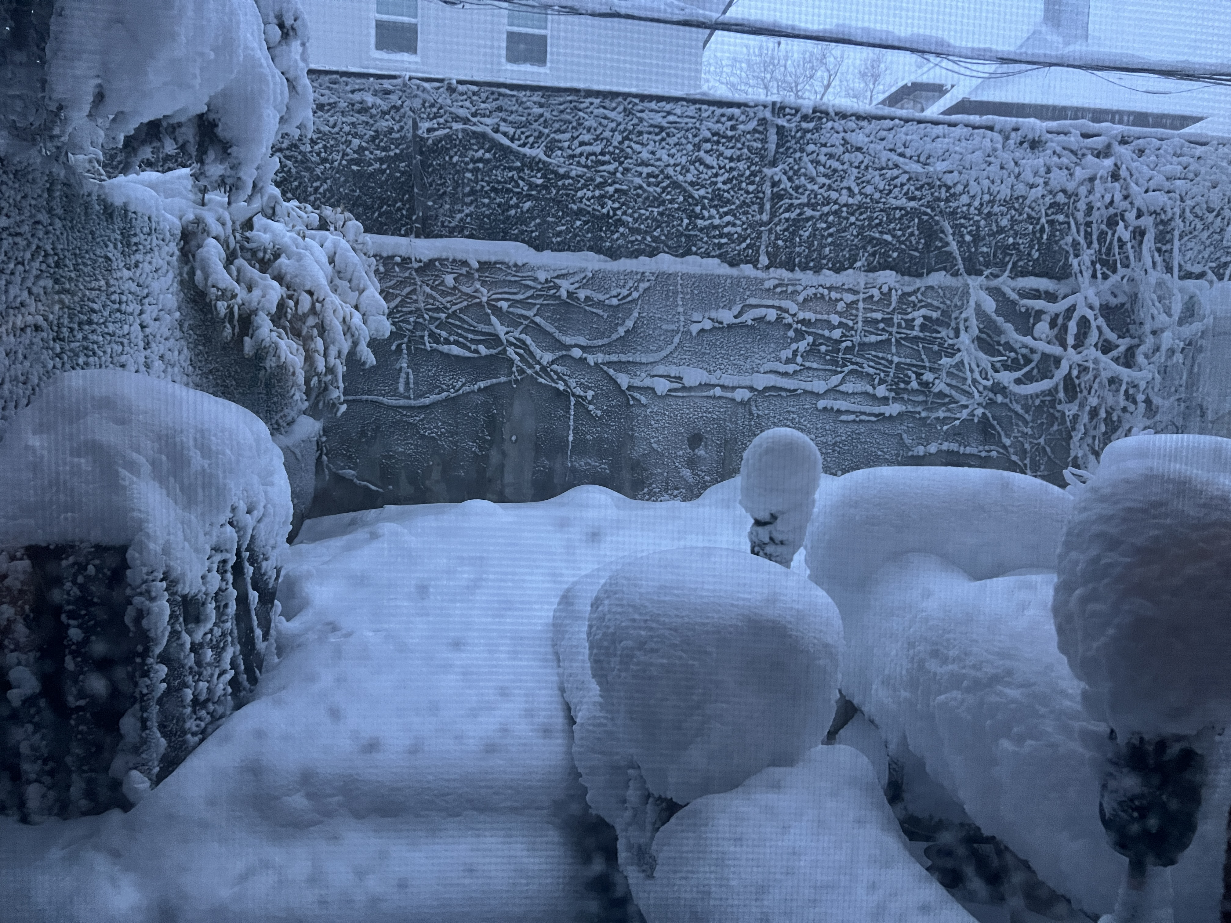 Image: https://us.v-cdn.net/5021252/uploads/editor/7p/k17mtz3hfcpx.jpeg