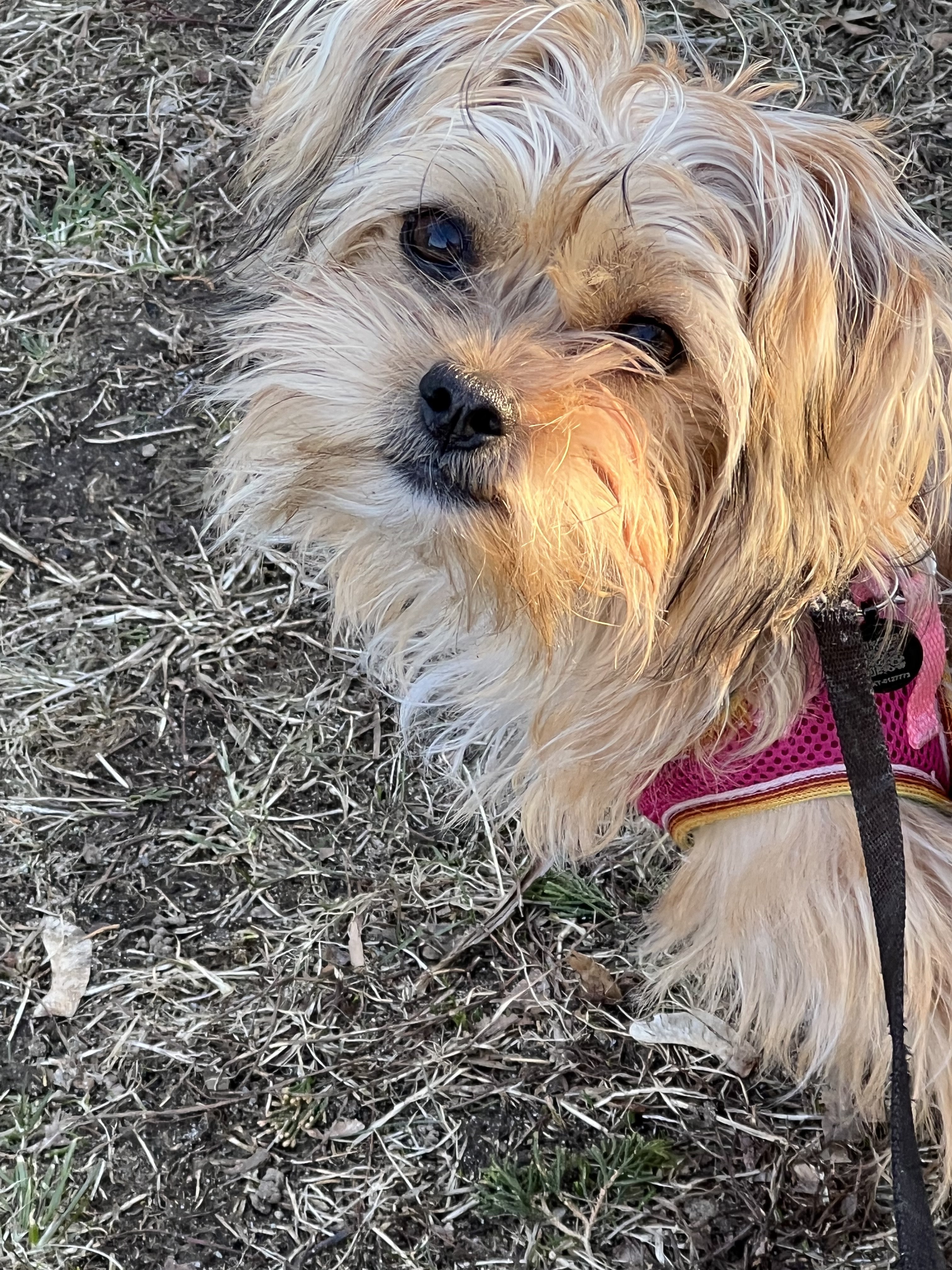 Image: https://us.v-cdn.net/5021252/uploads/editor/ak/9kvpcuwaam8p.jpeg