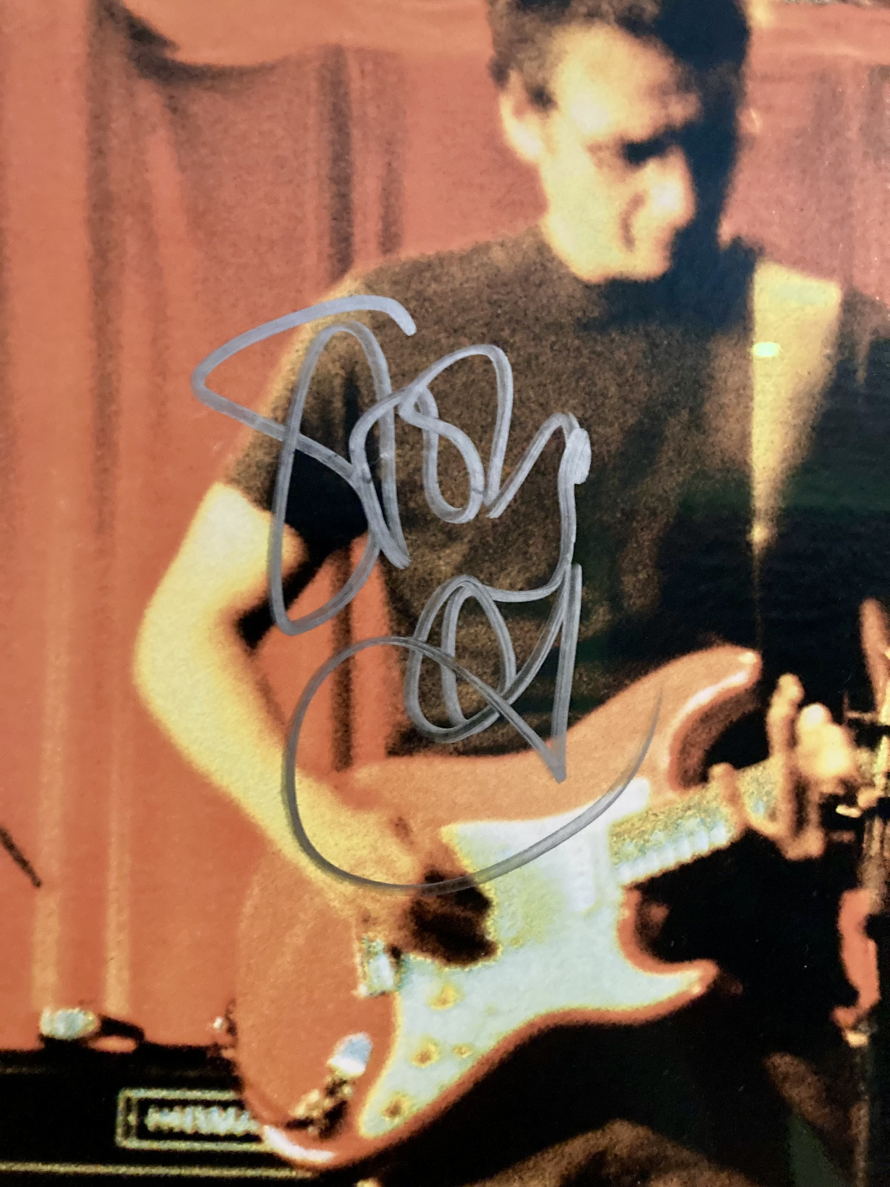 Image: https://us.v-cdn.net/5021252/uploads/editor/db/dgf9hw0xj4q7.jpeg