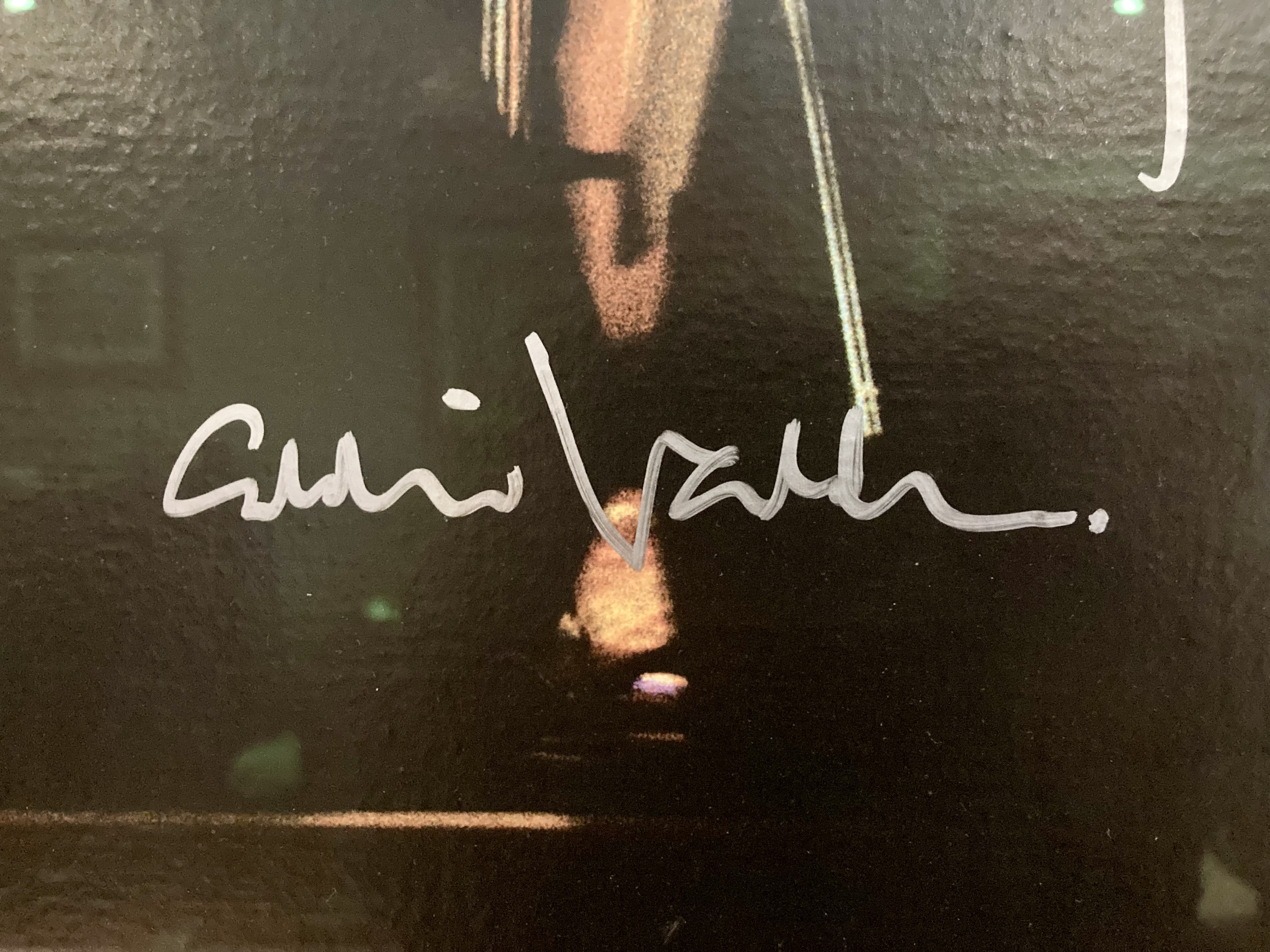 Image: https://us.v-cdn.net/5021252/uploads/editor/e1/9m9yowda6pcz.jpeg