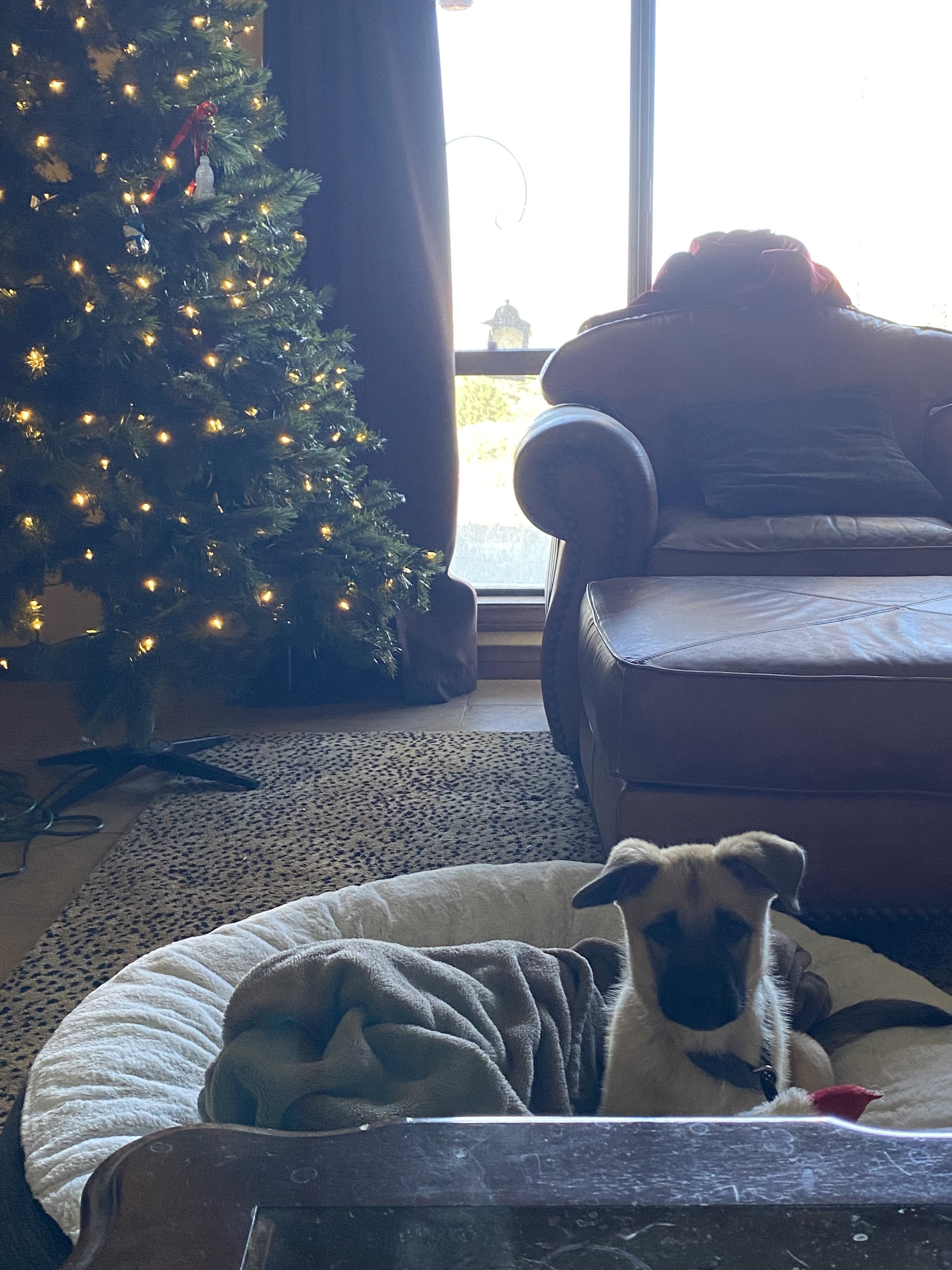 Image: https://us.v-cdn.net/5021252/uploads/editor/eu/2hkpvy5ec1c8.jpeg