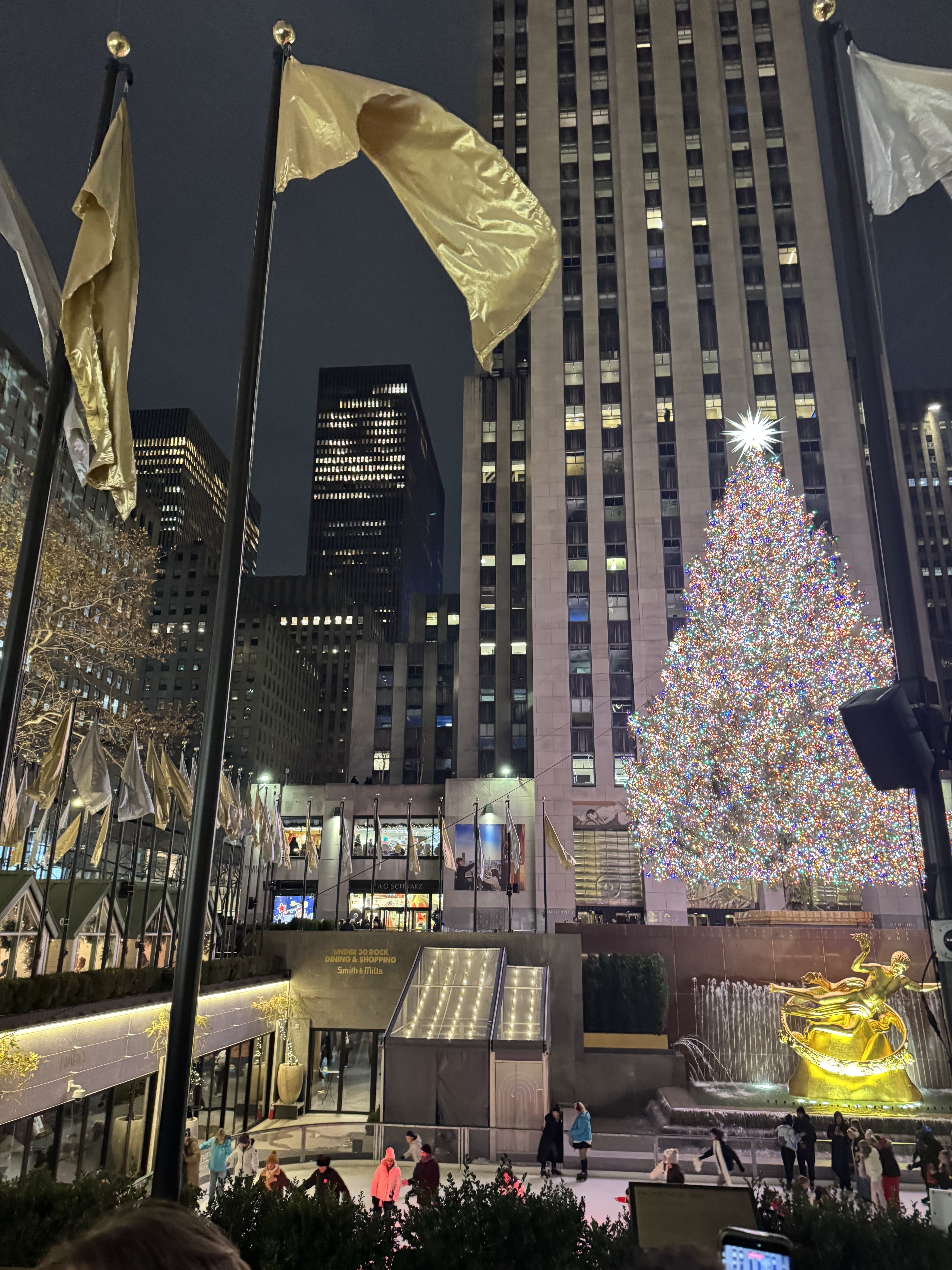 Image: https://us.v-cdn.net/5021252/uploads/editor/gg/4x0hr8u4yr78.jpeg