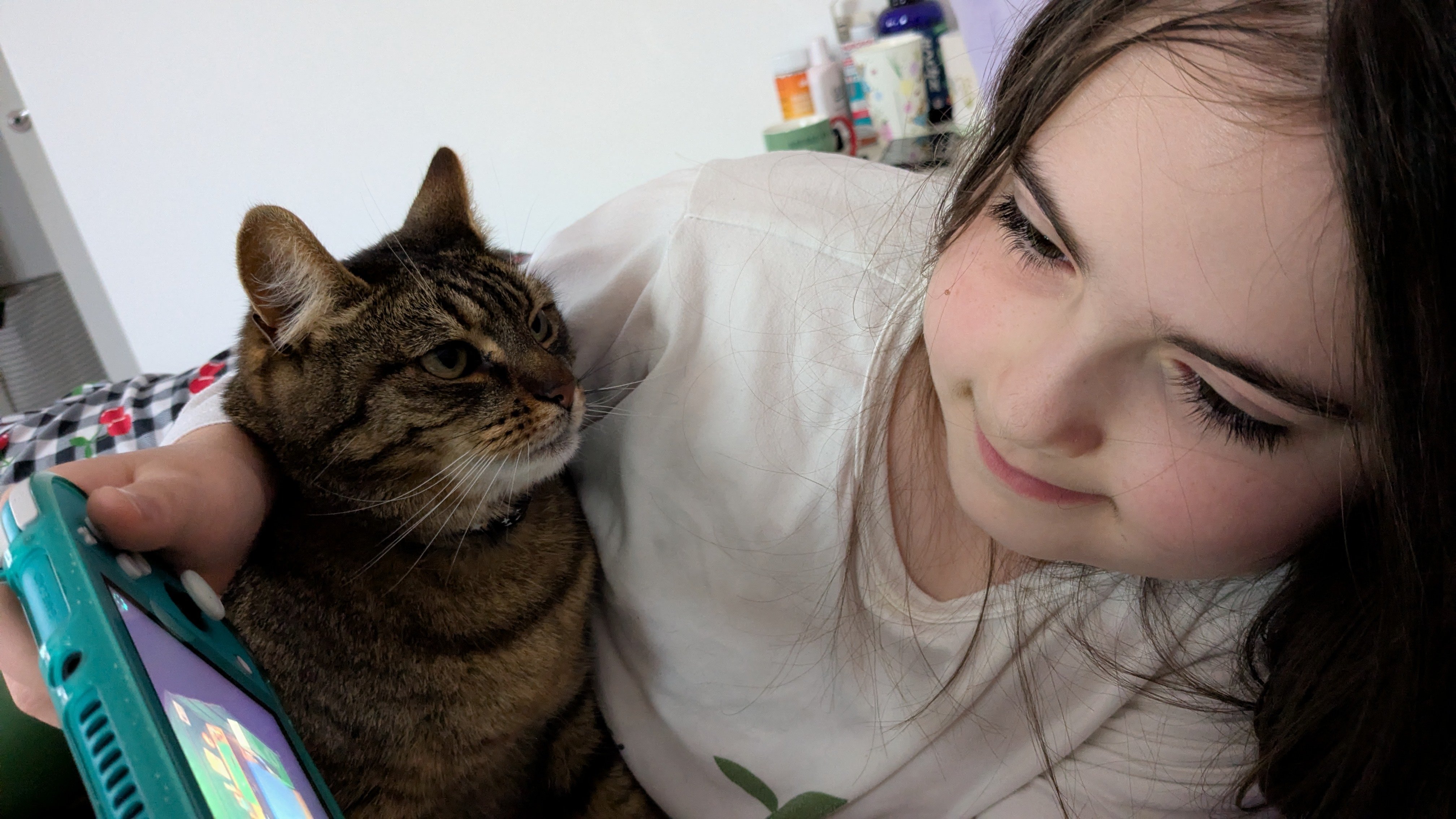 Image: https://us.v-cdn.net/5021252/uploads/editor/gh/rekf0msucgom.jpg