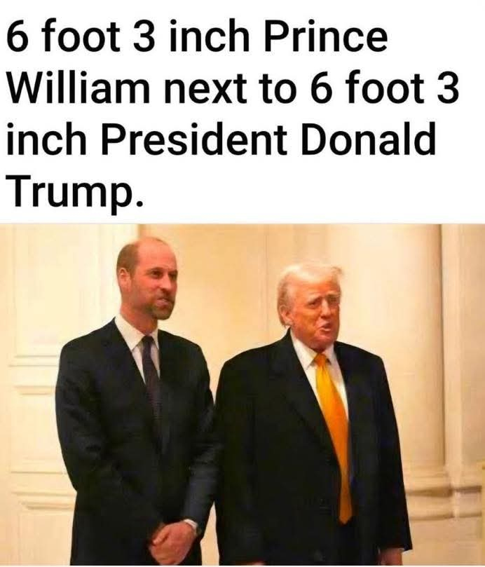 Image: https://us.v-cdn.net/5021252/uploads/editor/gj/oj7fvltl8c5h.jpg