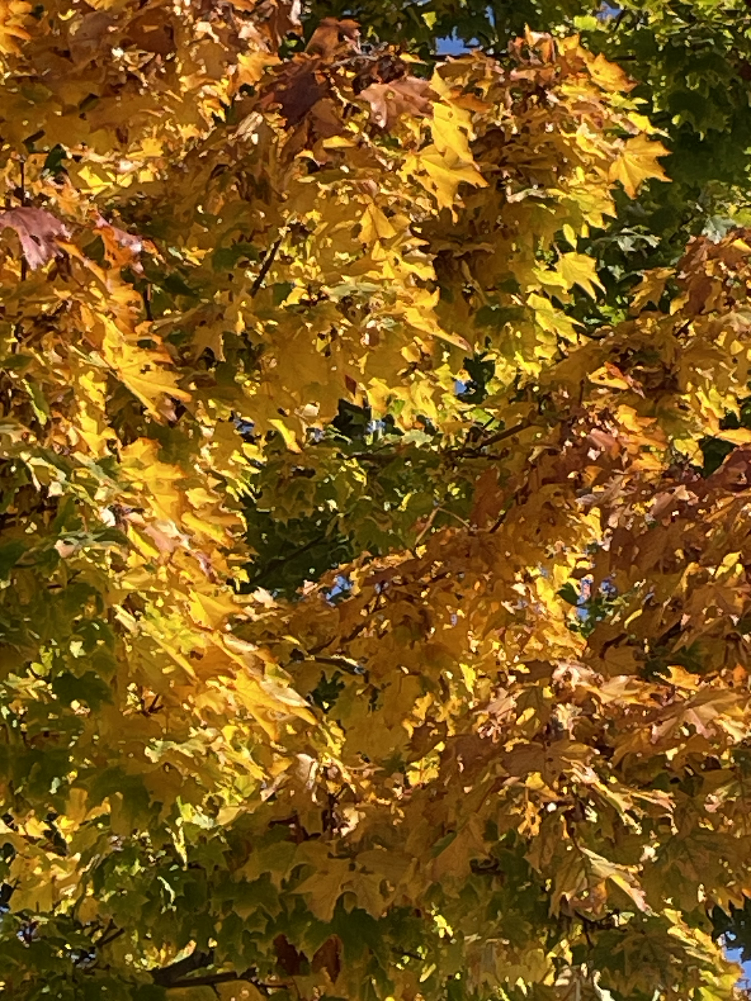 Image: https://us.v-cdn.net/5021252/uploads/editor/kc/wivnpqzn6gp9.jpeg