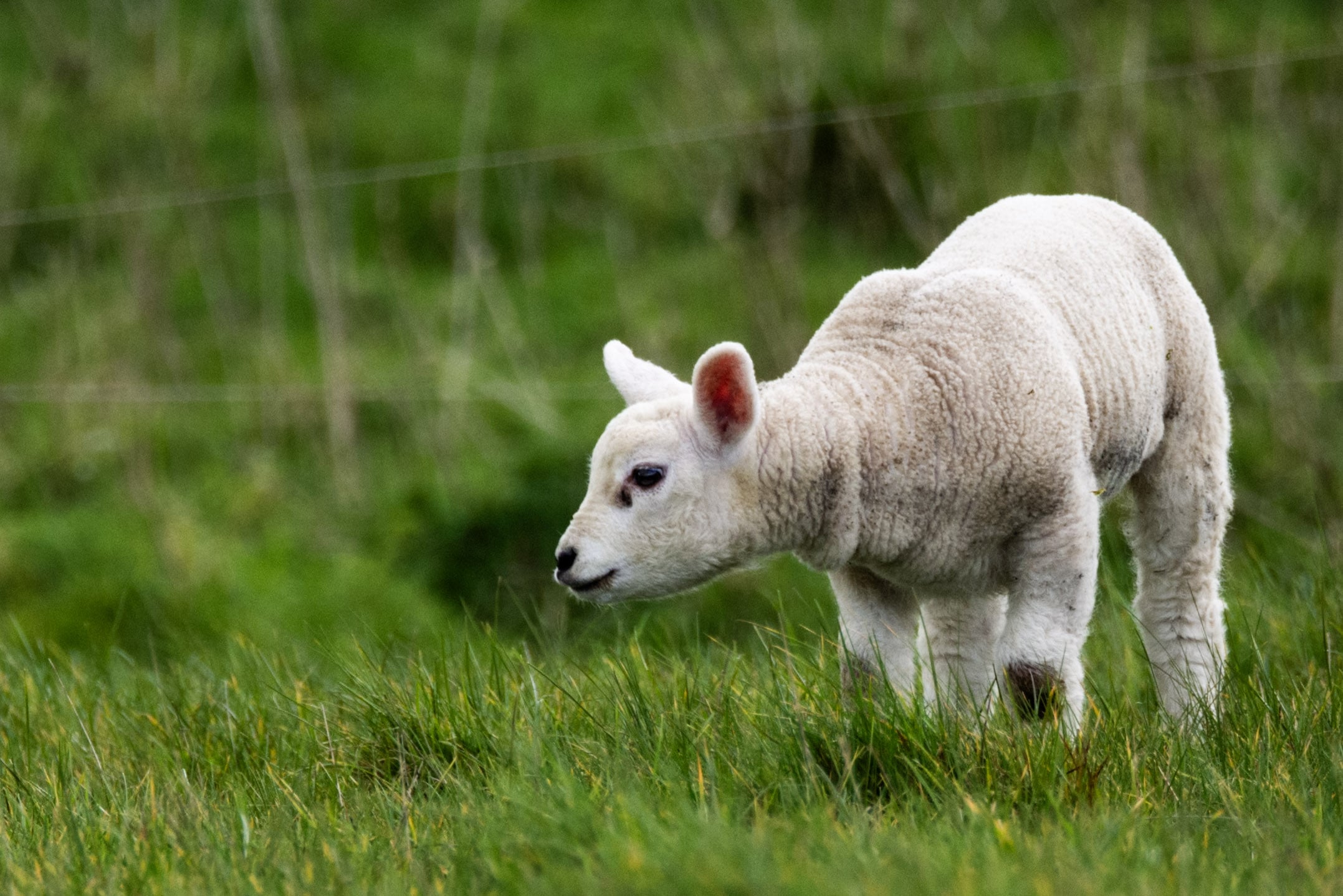 Image: https://us.v-cdn.net/5021252/uploads/editor/m6/ioga5aypbmug.jpg