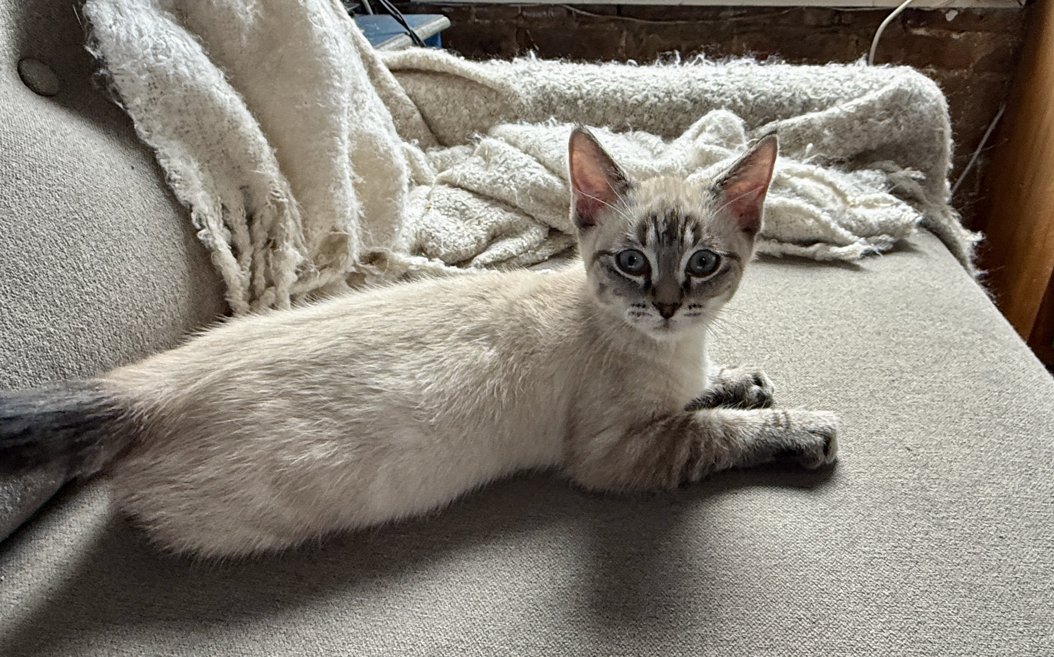 Image: https://us.v-cdn.net/5021252/uploads/editor/m9/d77x48am39yq.jpeg