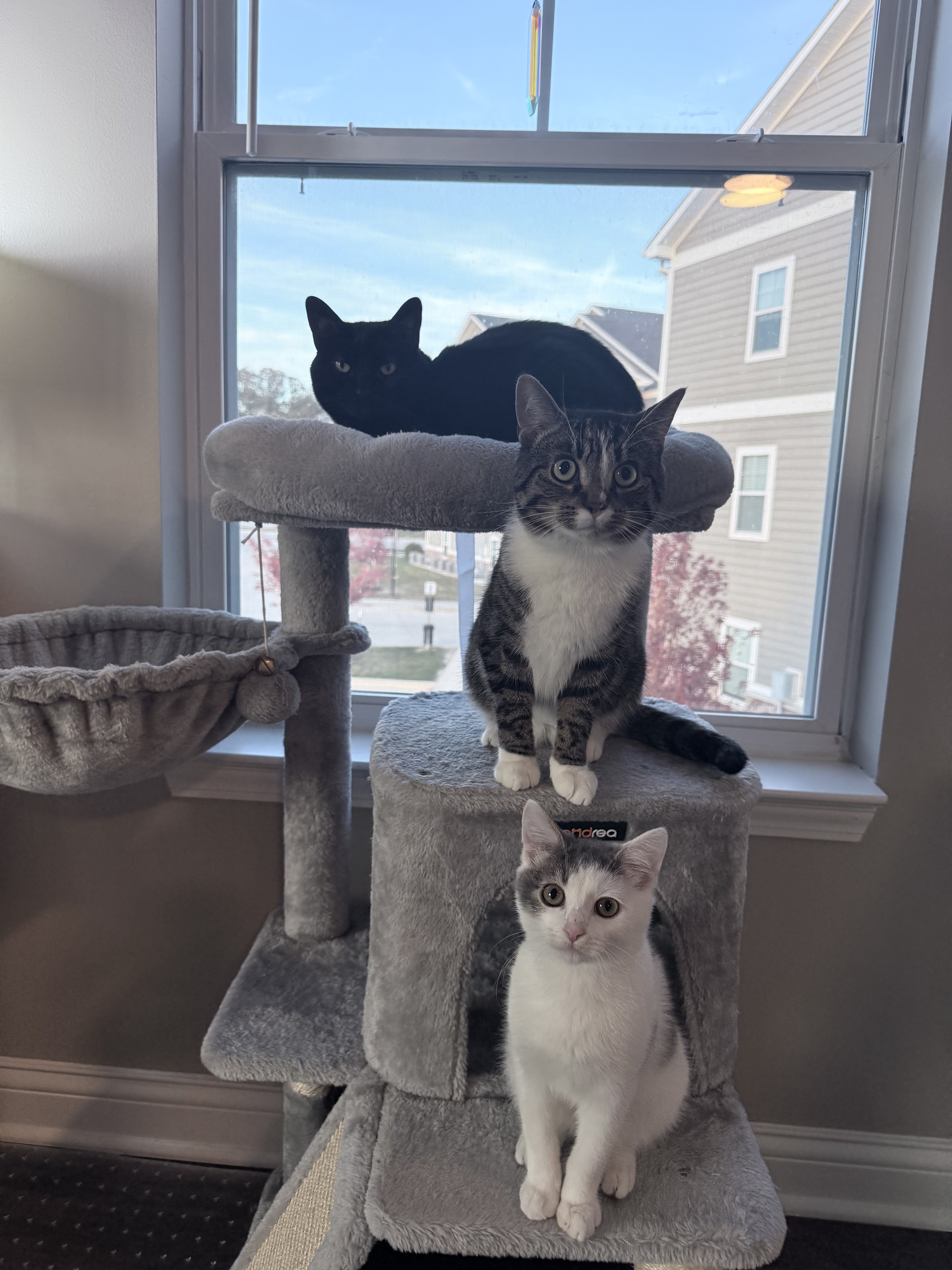 Image: https://us.v-cdn.net/5021252/uploads/editor/n9/cyb6dbwcswy0.jpg