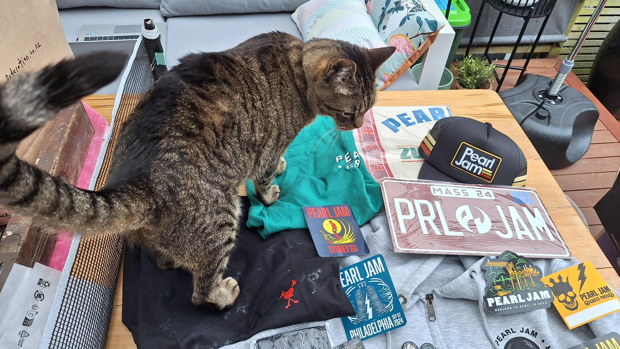 Image: https://us.v-cdn.net/5021252/uploads/editor/o4/91agzyrhh3n0.jpg