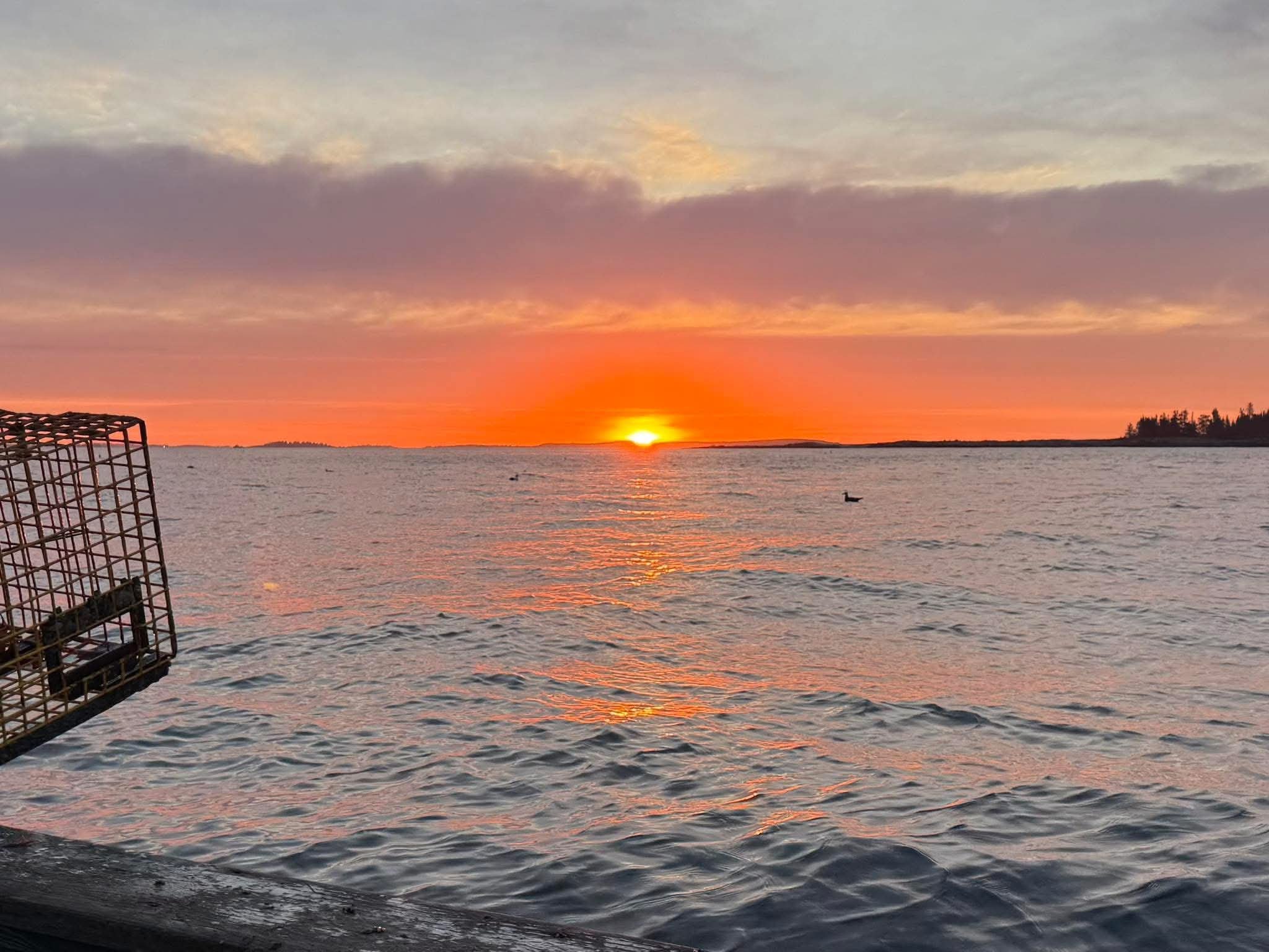 Image: https://us.v-cdn.net/5021252/uploads/editor/q9/qhvjexs3fasp.jpg