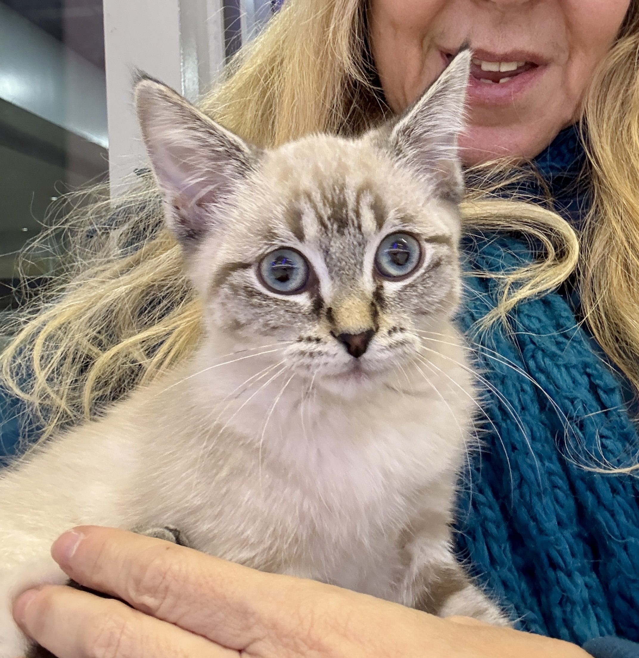 Image: https://us.v-cdn.net/5021252/uploads/editor/r7/761hv1wb9r4c.jpeg