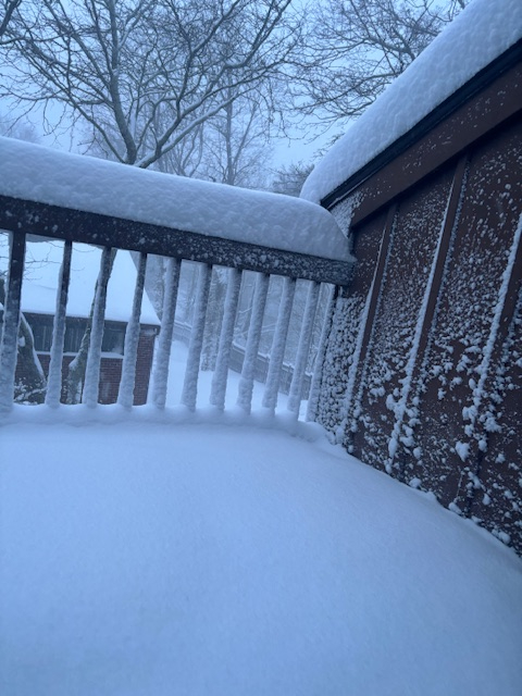 Image: https://us.v-cdn.net/5021252/uploads/editor/s4/hewo0ow7twd0.jpg