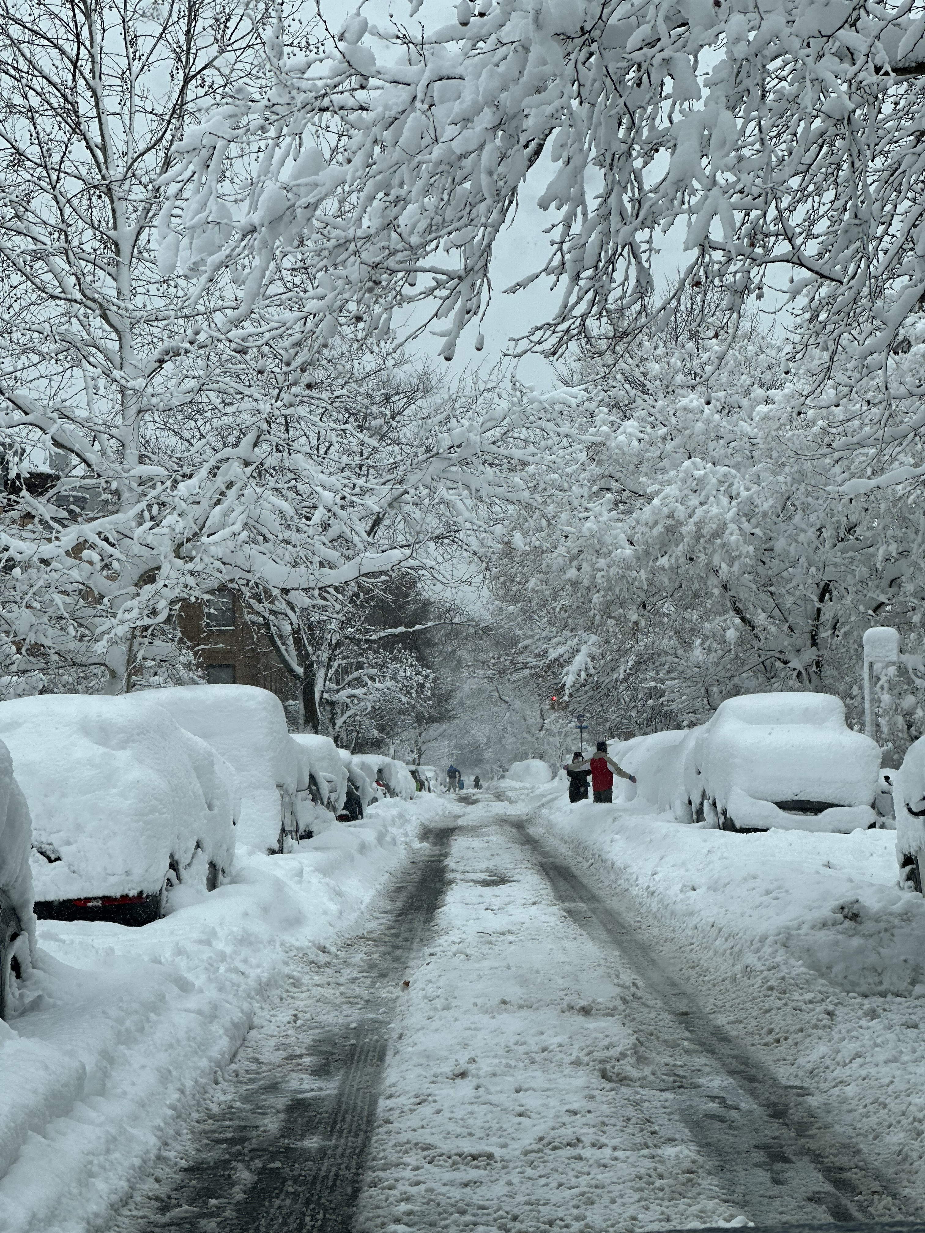 Image: https://us.v-cdn.net/5021252/uploads/editor/sf/dmbqg65rsqns.jpeg