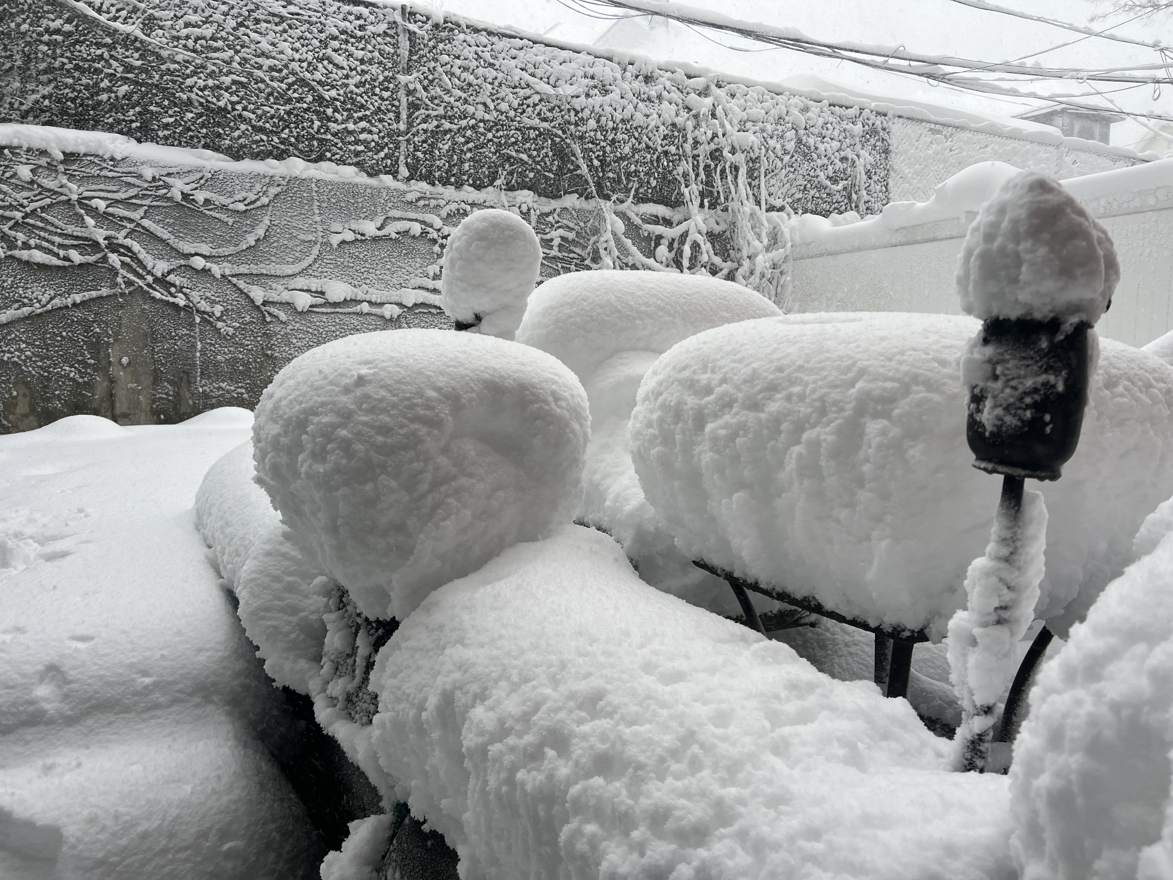 Image: https://us.v-cdn.net/5021252/uploads/editor/to/h2h0zijngj78.jpeg