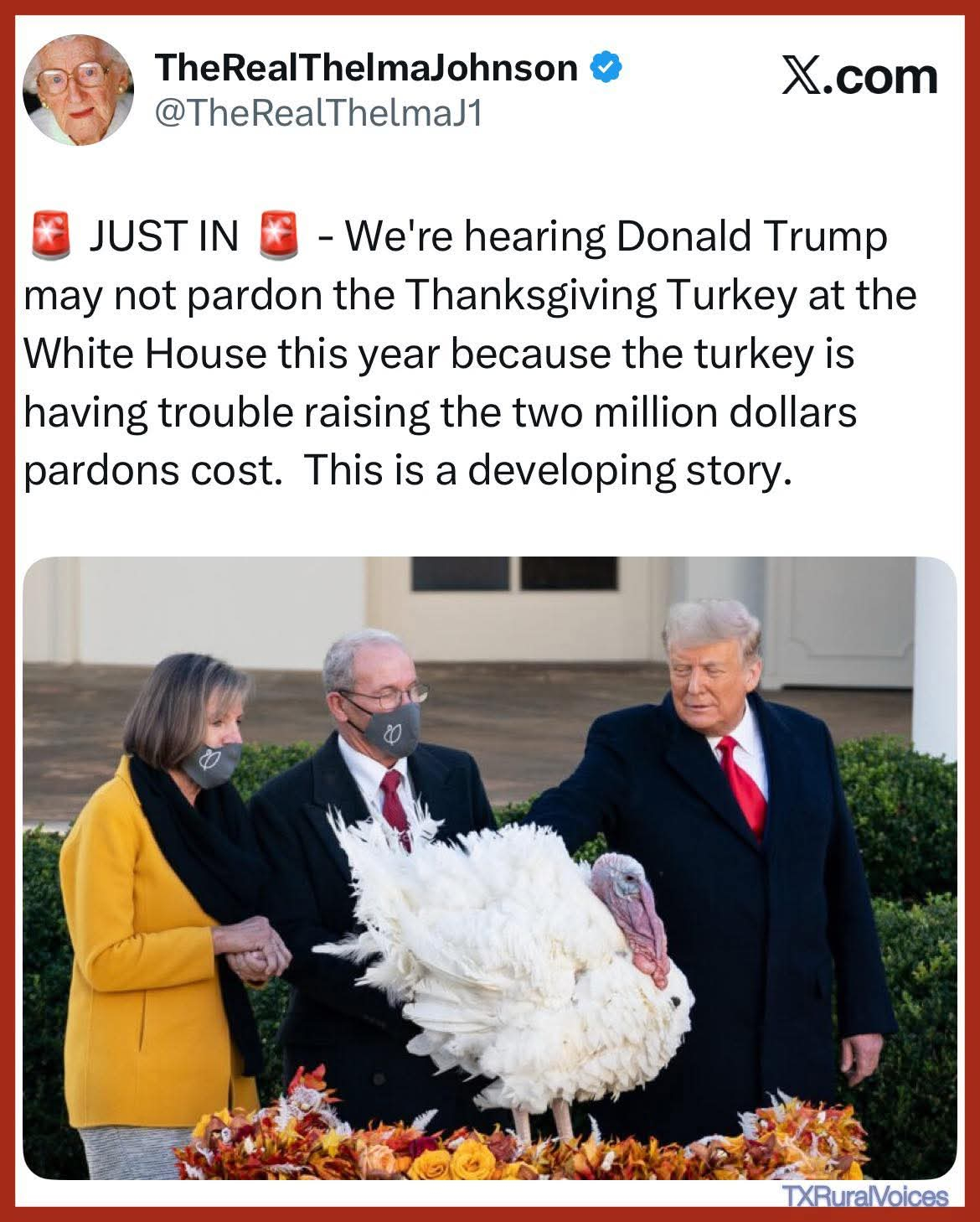 Image: https://us.v-cdn.net/5021252/uploads/editor/vs/uvdg4i5heb3d.jpg