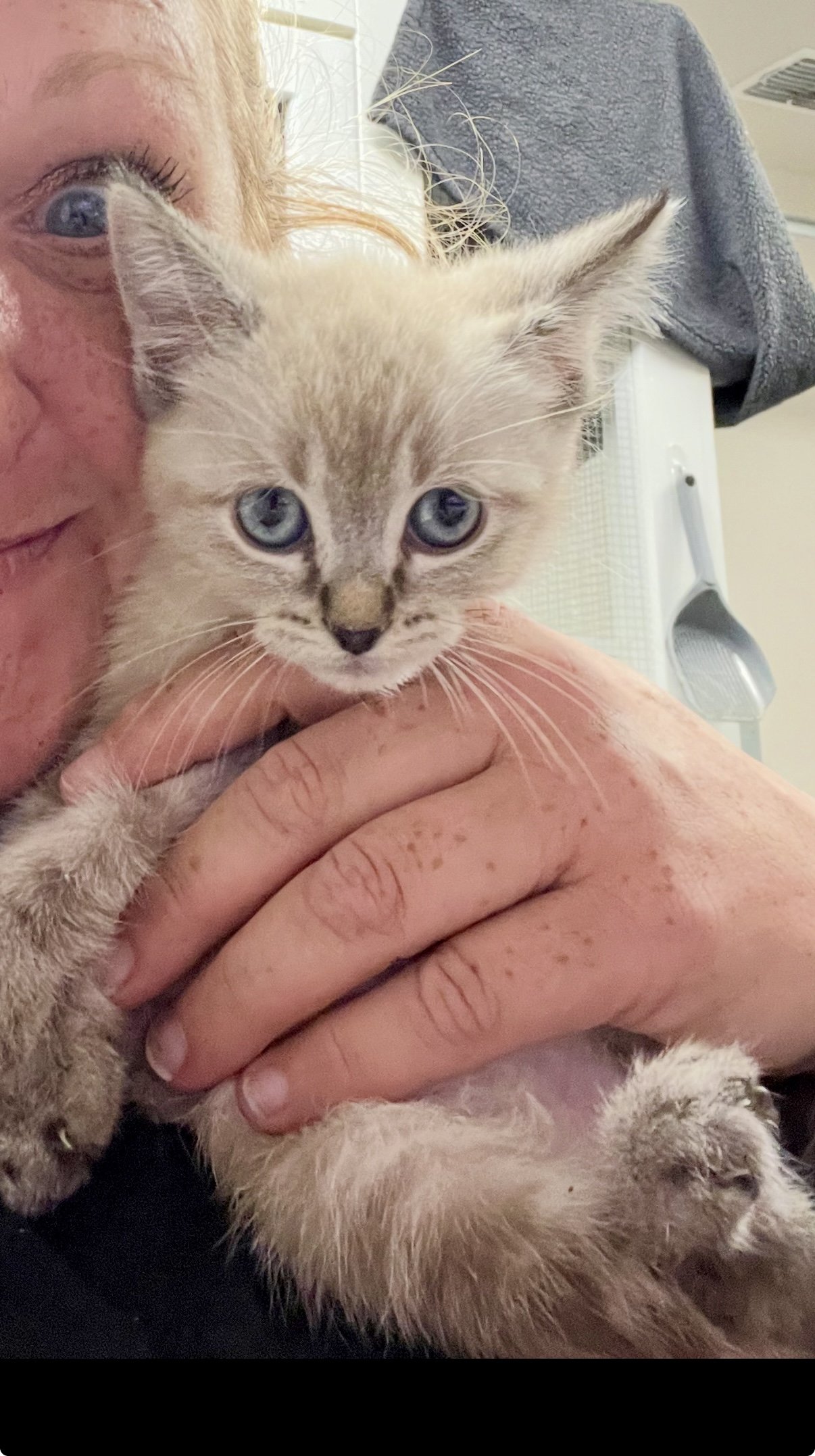 Image: https://us.v-cdn.net/5021252/uploads/editor/xd/l86x27jadlsl.jpeg