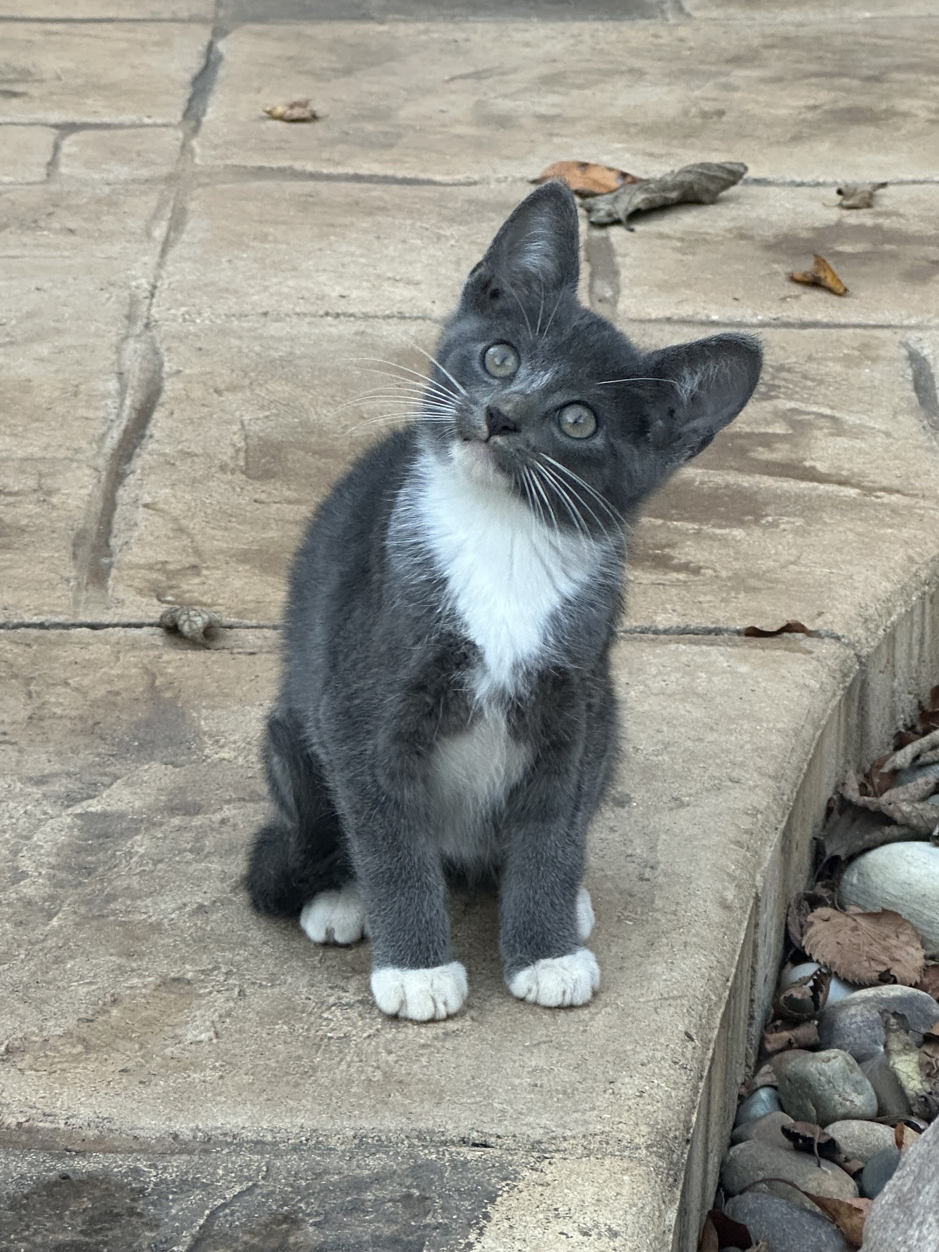 Image: https://us.v-cdn.net/5021252/uploads/editor/ys/3gy3m5giarw7.jpg