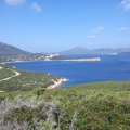 koseno